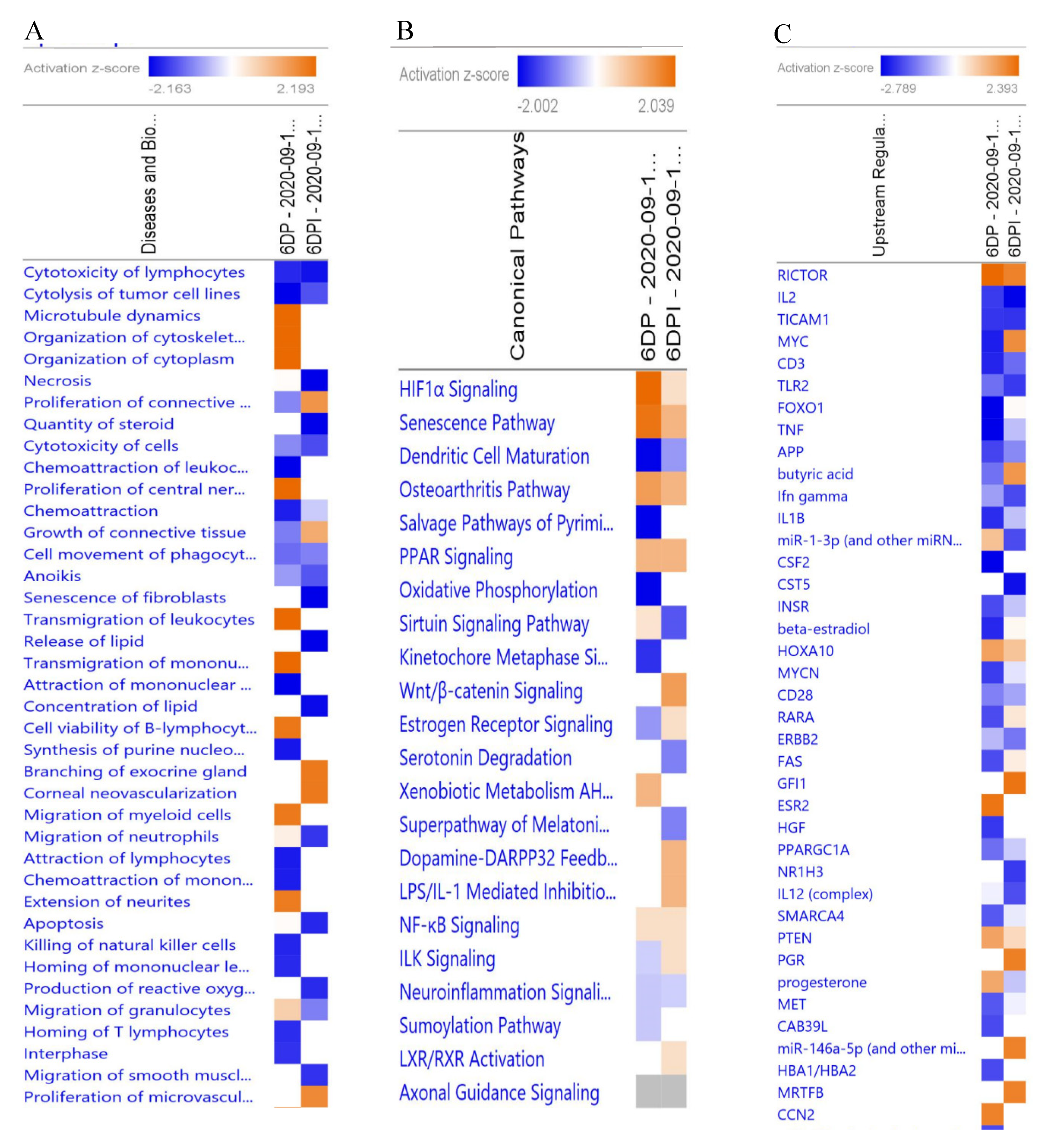 Genes 11 01302 g002 Genes 11 01302 g002
