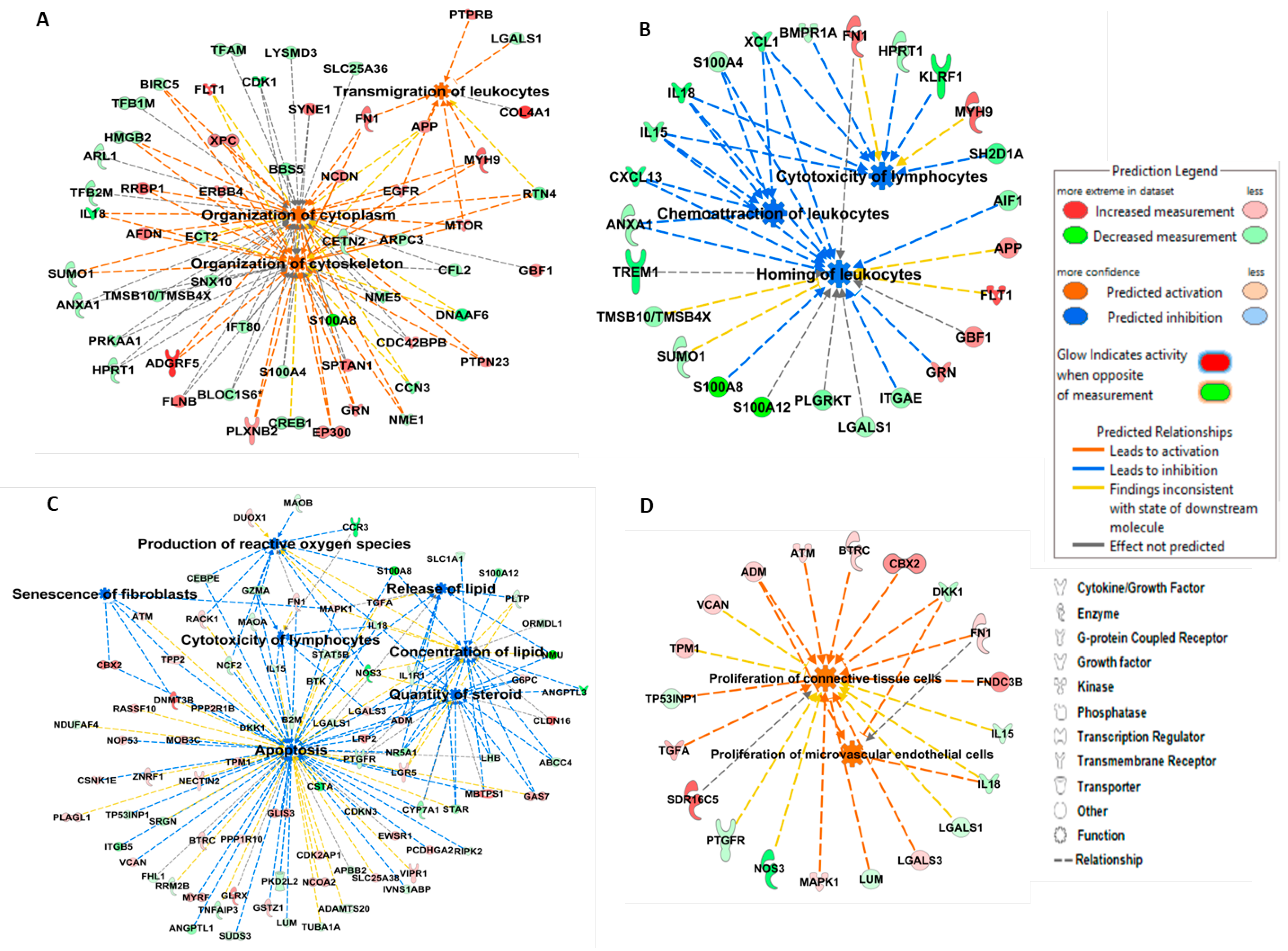 Genes 11 01302 g003 Genes 11 01302 g003