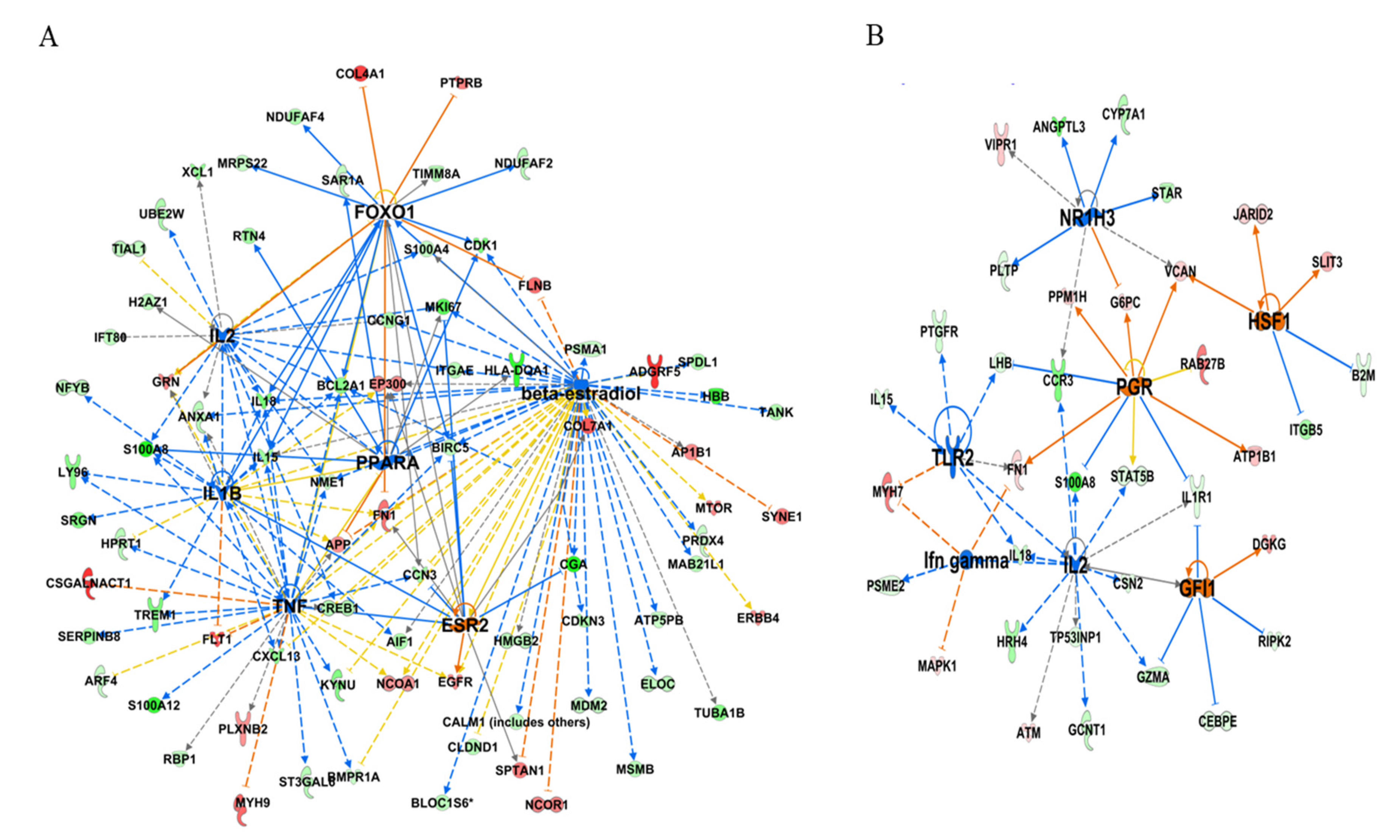 Genes 11 01302 g004 Genes 11 01302 g004