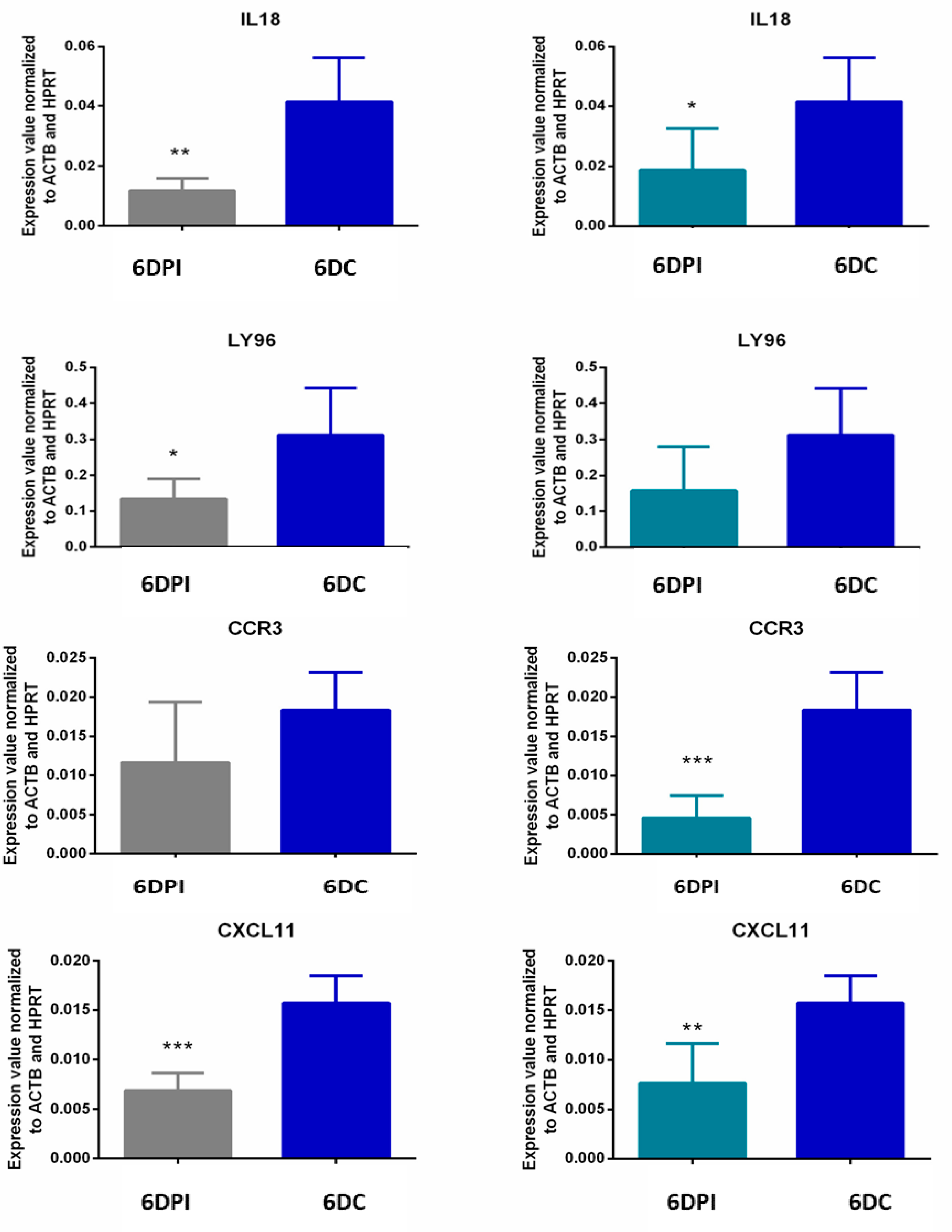 Genes 11 01302 g005b Genes 11 01302 g005b