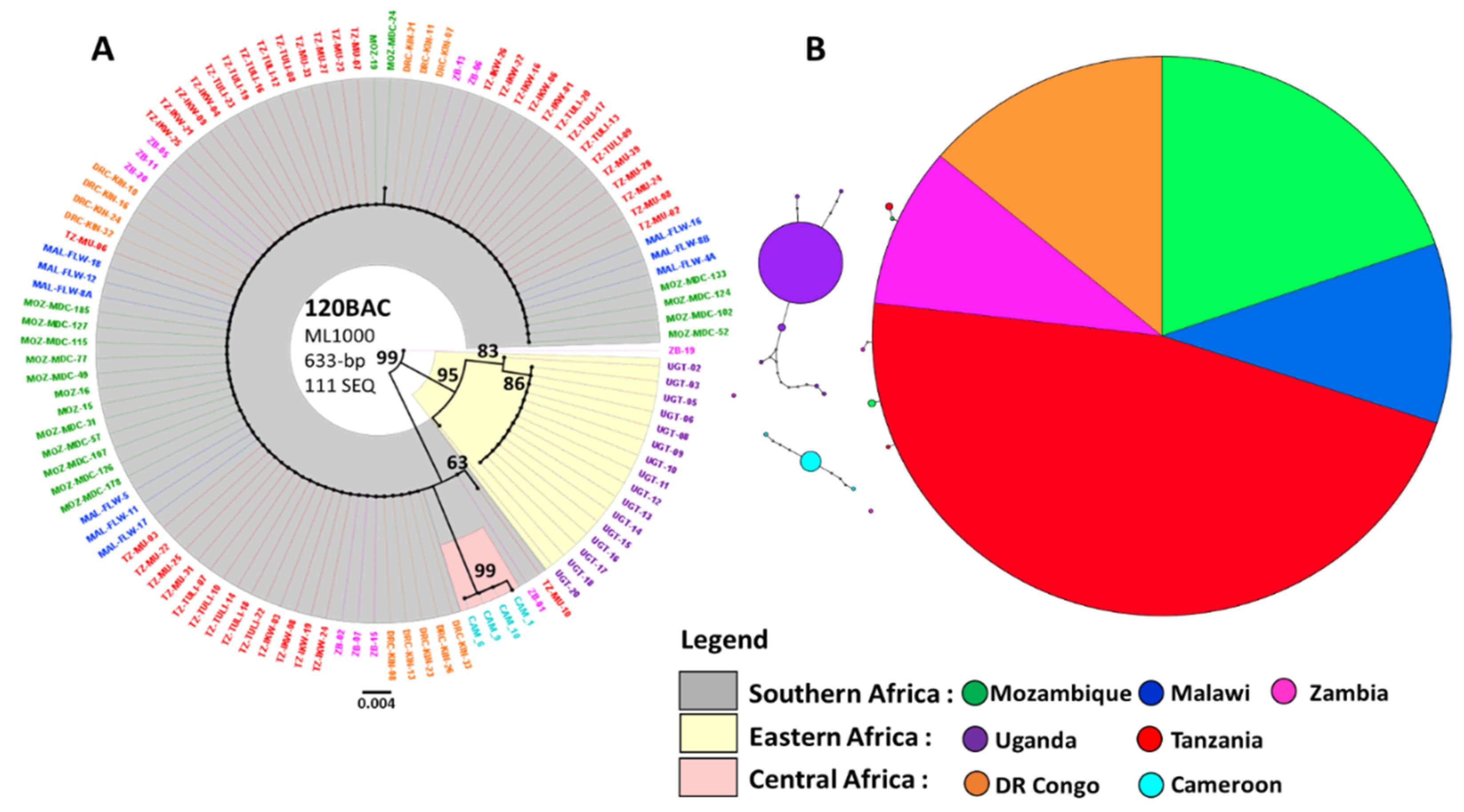 Genes 11 01314 g004
