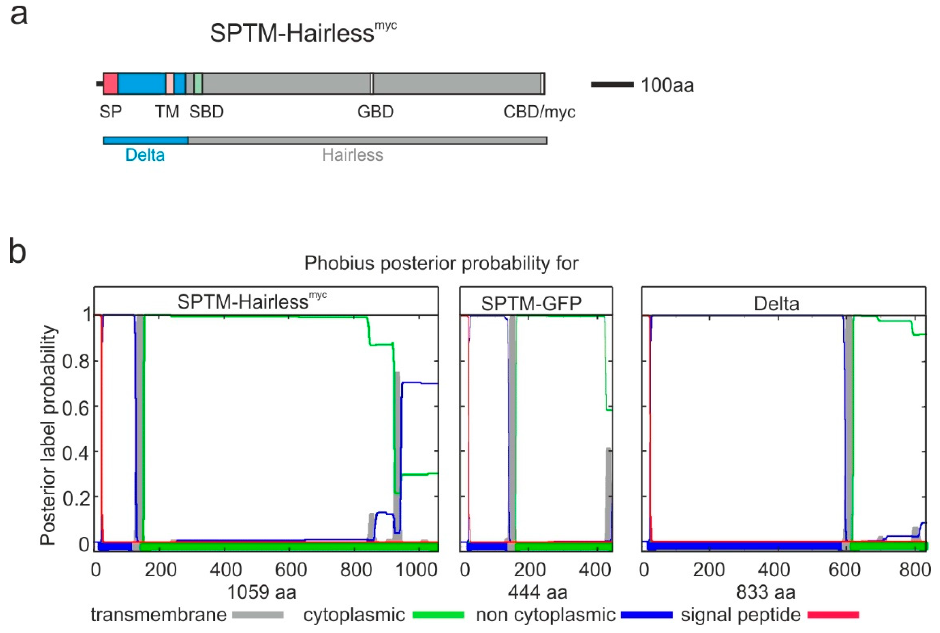 Genes 11 01315 g001