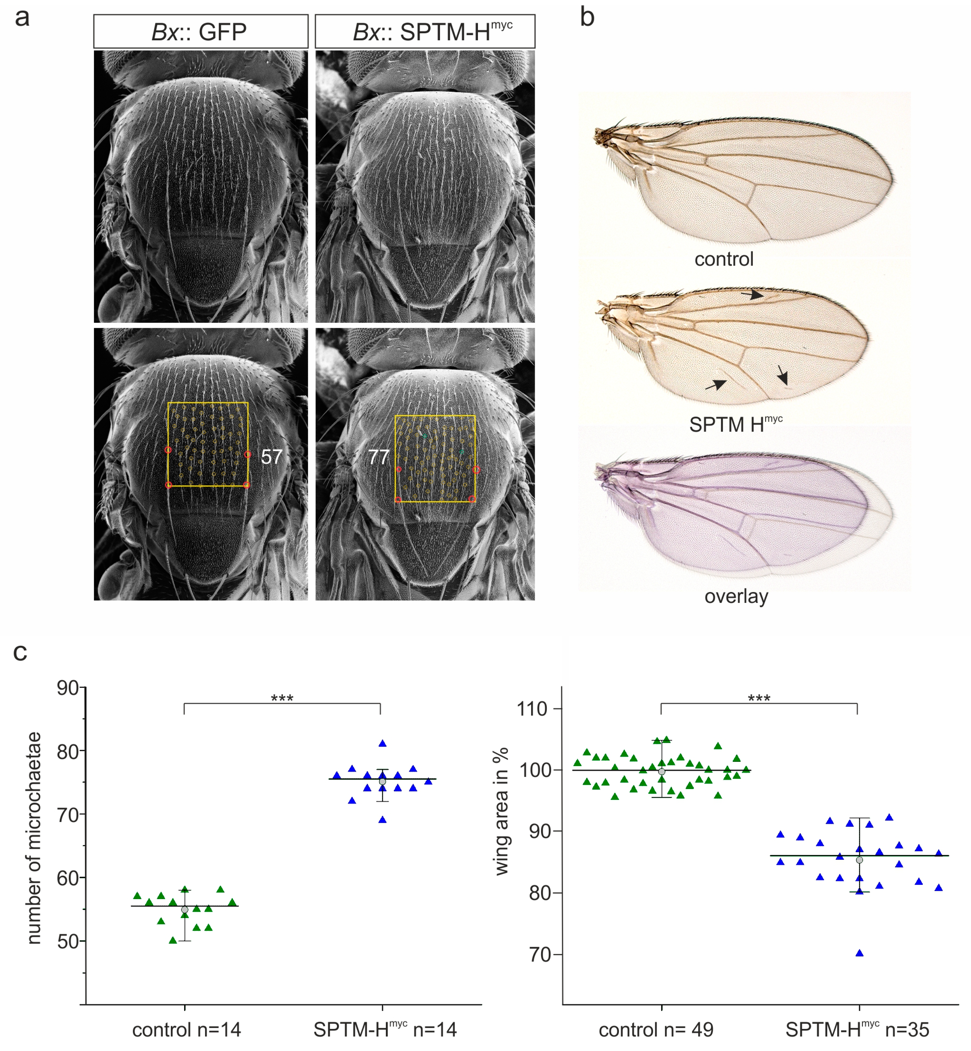 Genes 11 01315 g004