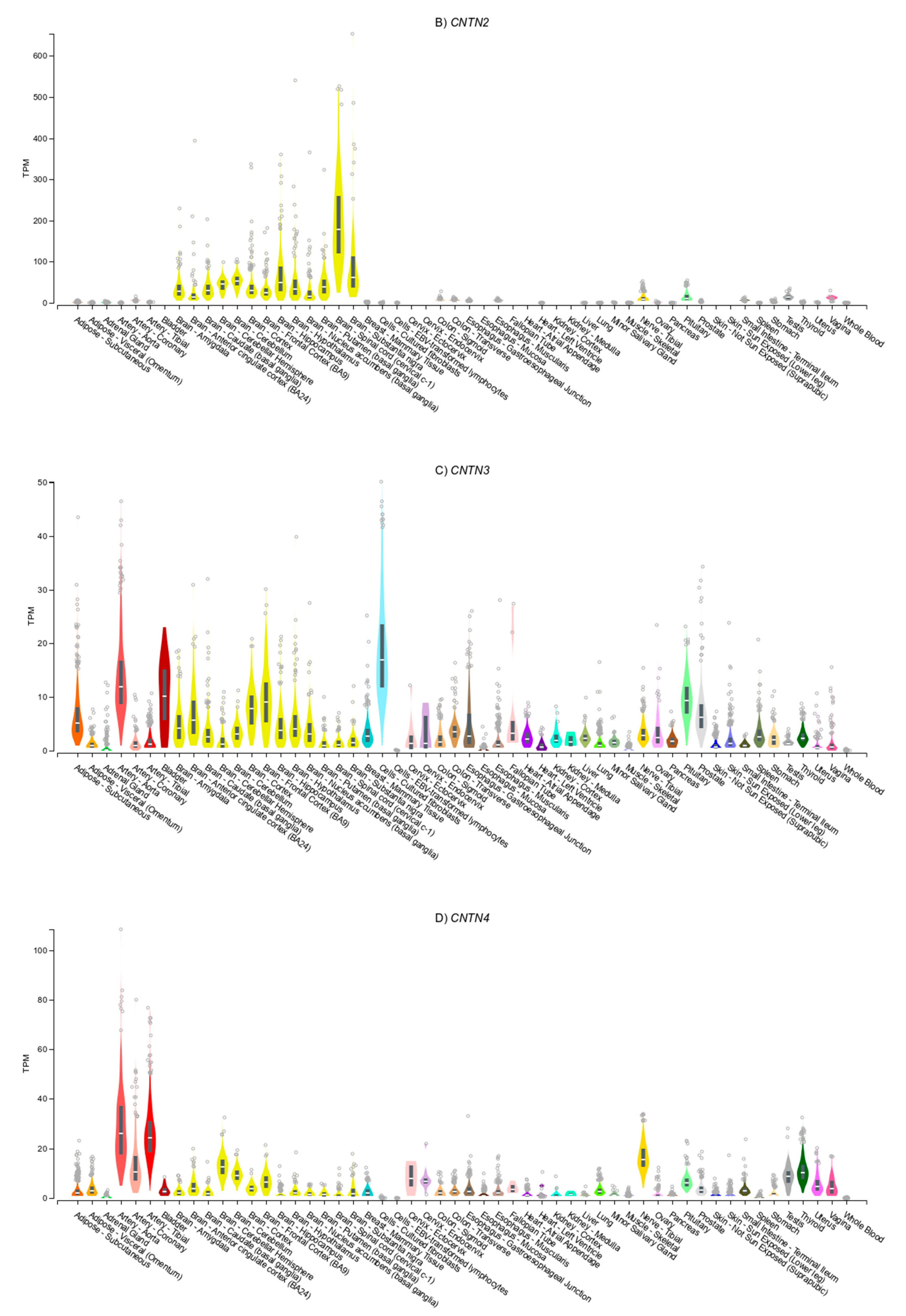 Genes 11 01326 g002b Genes 11 01326 g002b