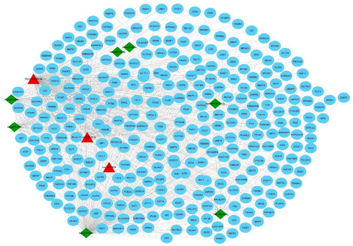 Genes 11 01327 g002 Genes 11 01327 g002