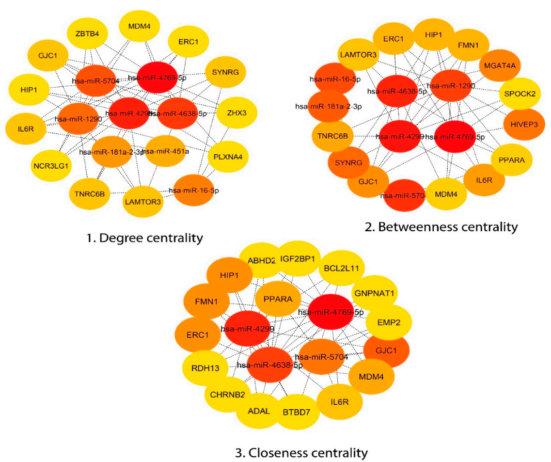 Genes 11 01327 g003 Genes 11 01327 g003