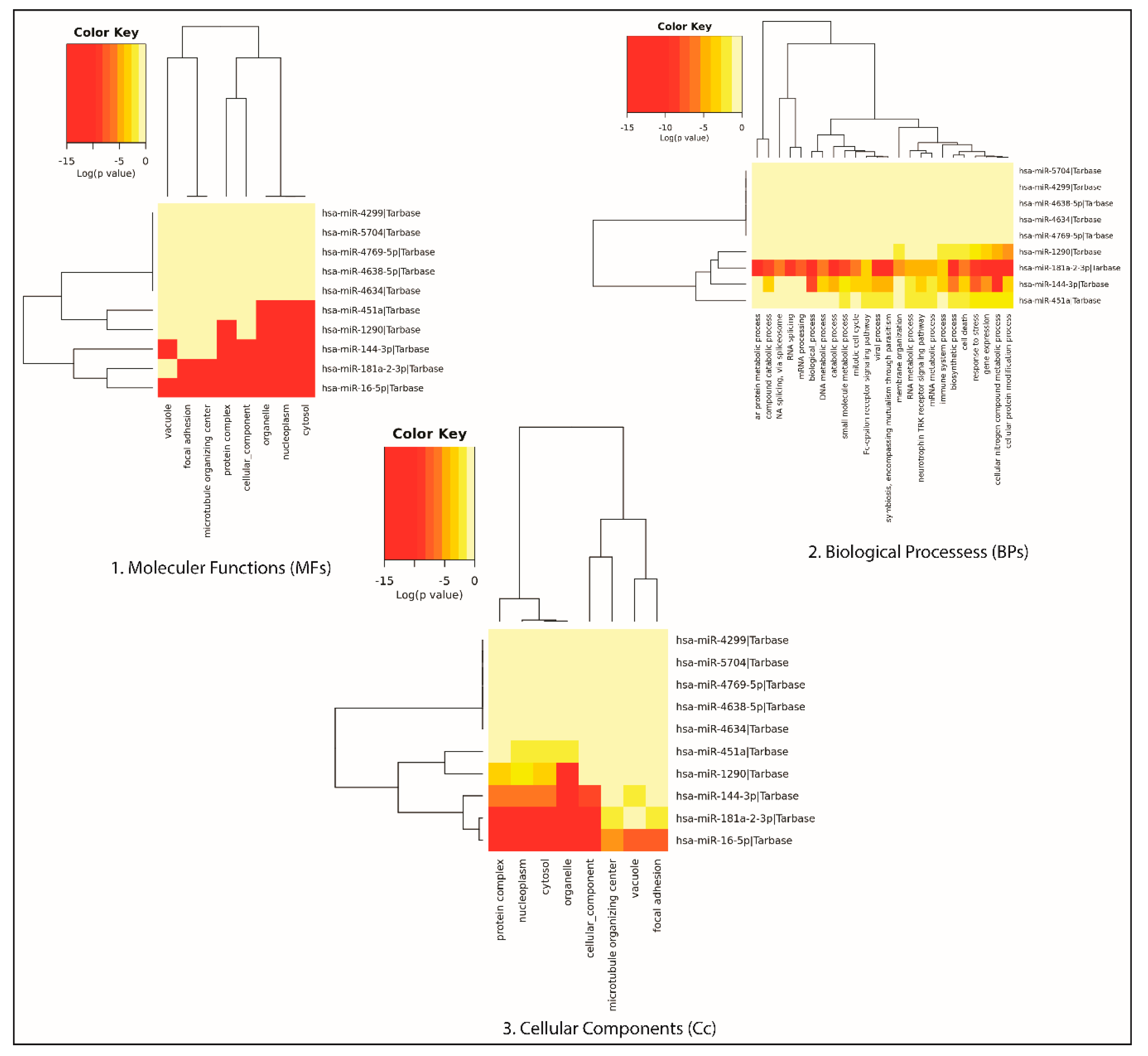 Genes 11 01327 g004 Genes 11 01327 g004