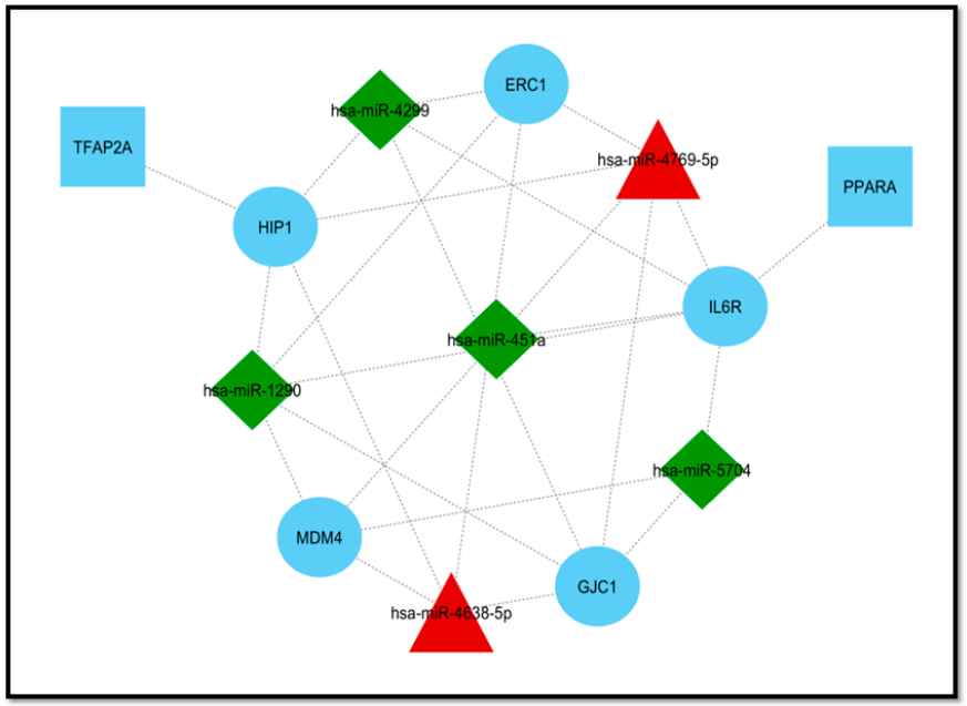 Genes 11 01327 g006 Genes 11 01327 g006