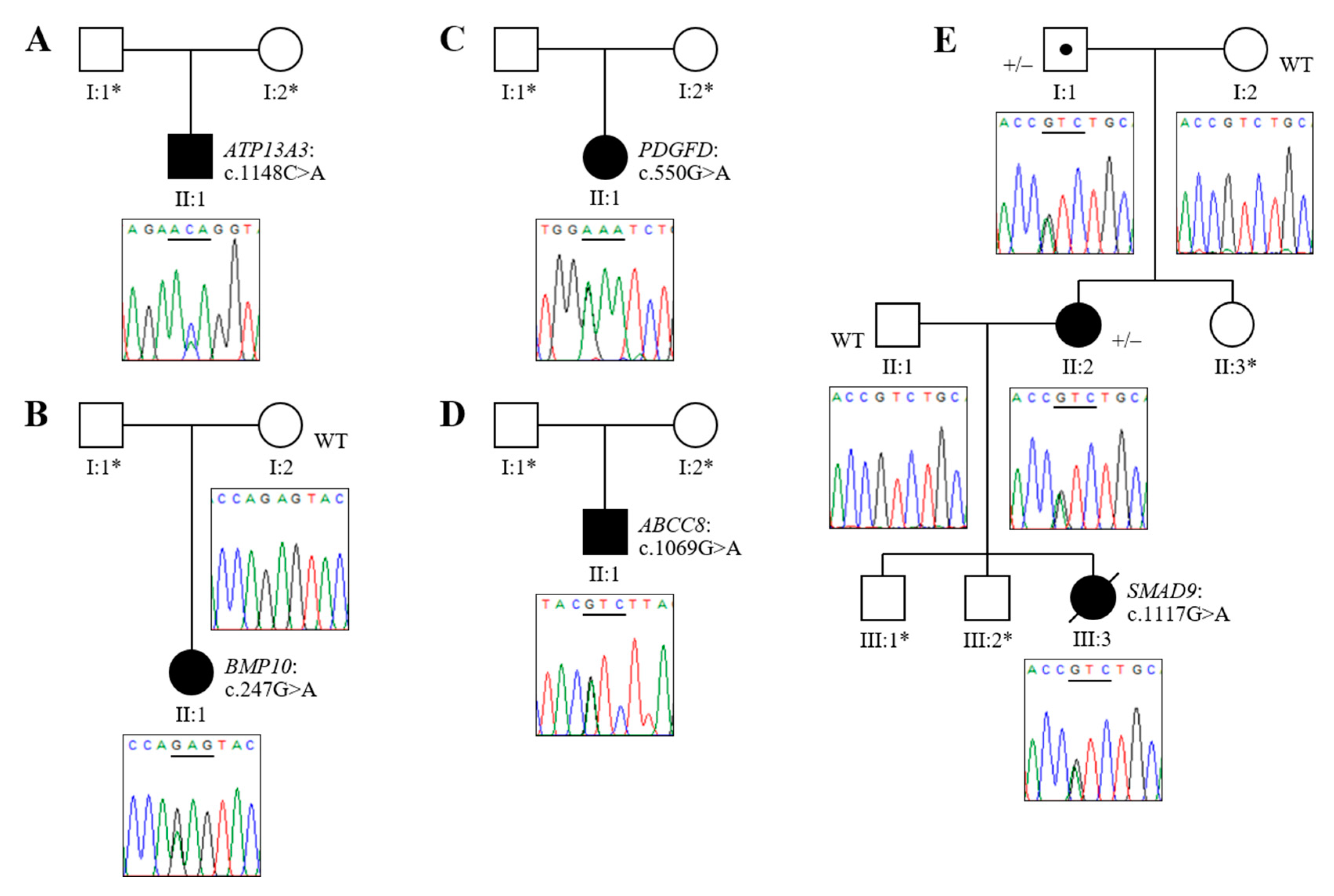 Genes 11 01328 g001 Genes 11 01328 g001