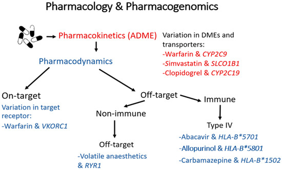Nhs Cost Of Ivermectin