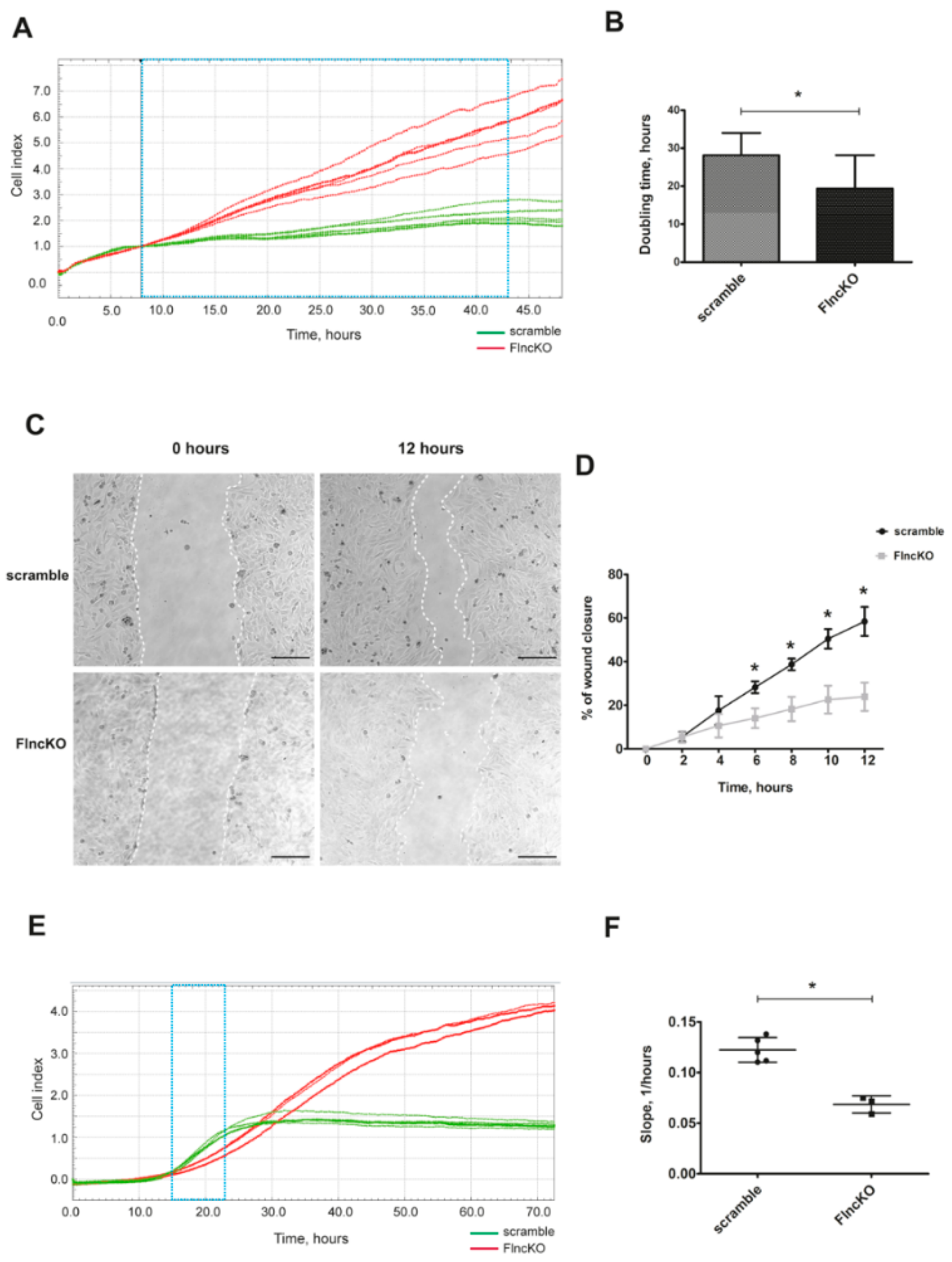 Genes 11 01343 g001 Genes 11 01343 g001