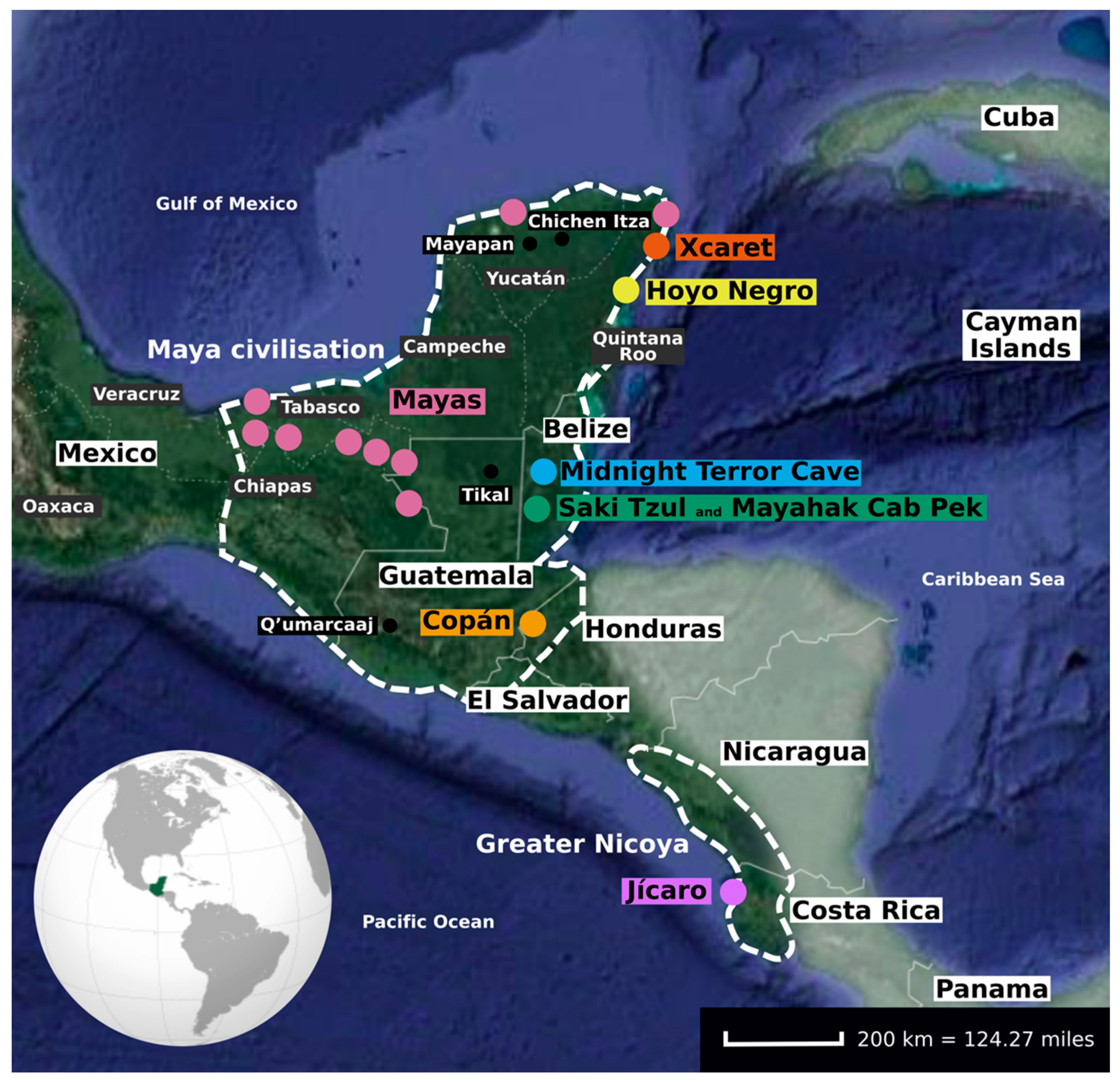 Genes 11 01346 g003 Genes 11 01346 g003