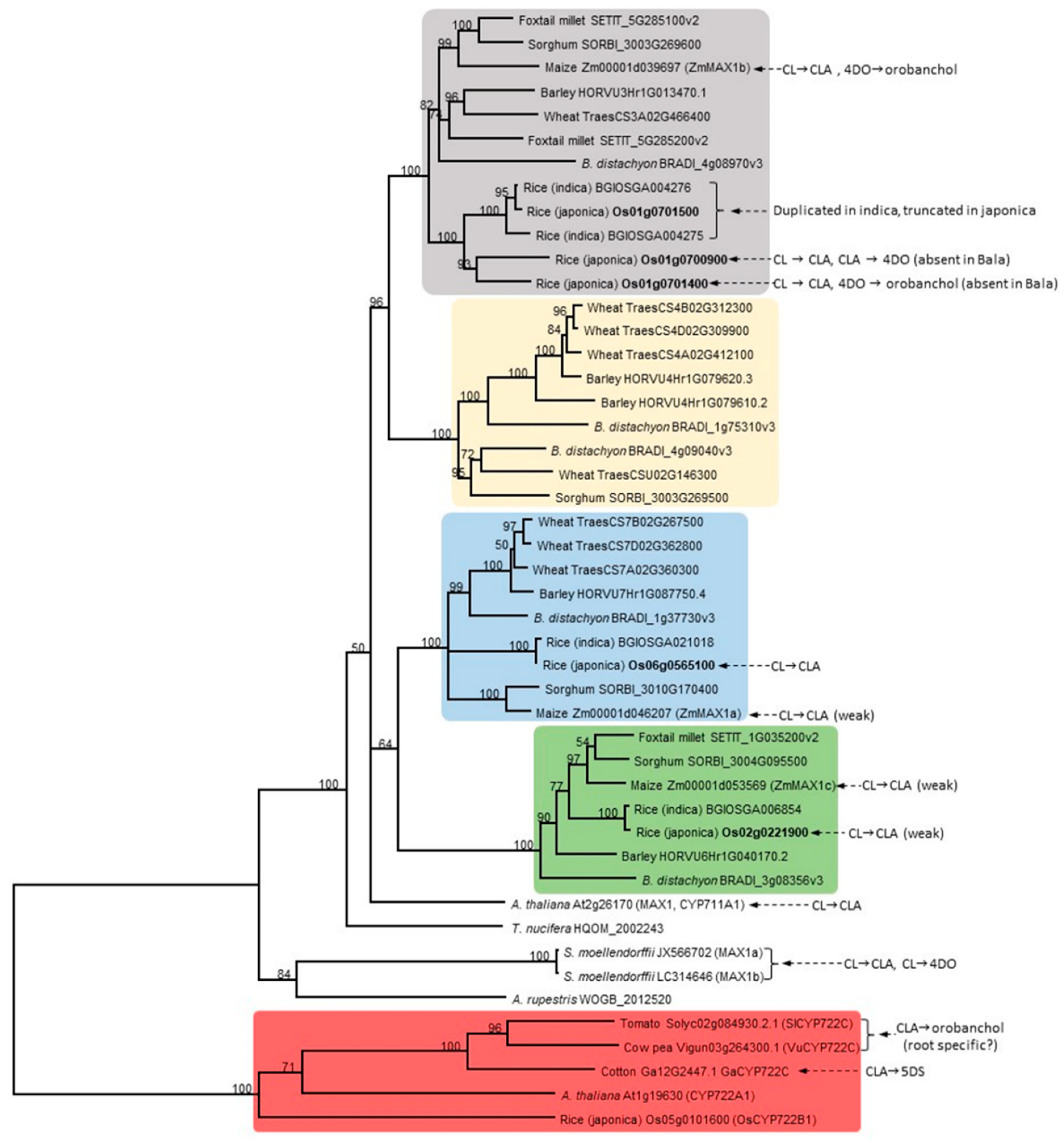 Genes 11 01348 g003