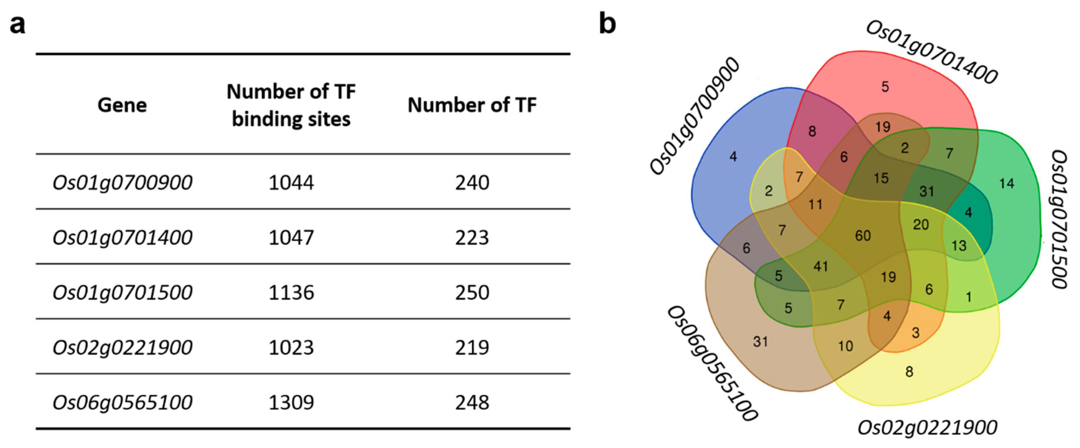 Genes 11 01348 g004