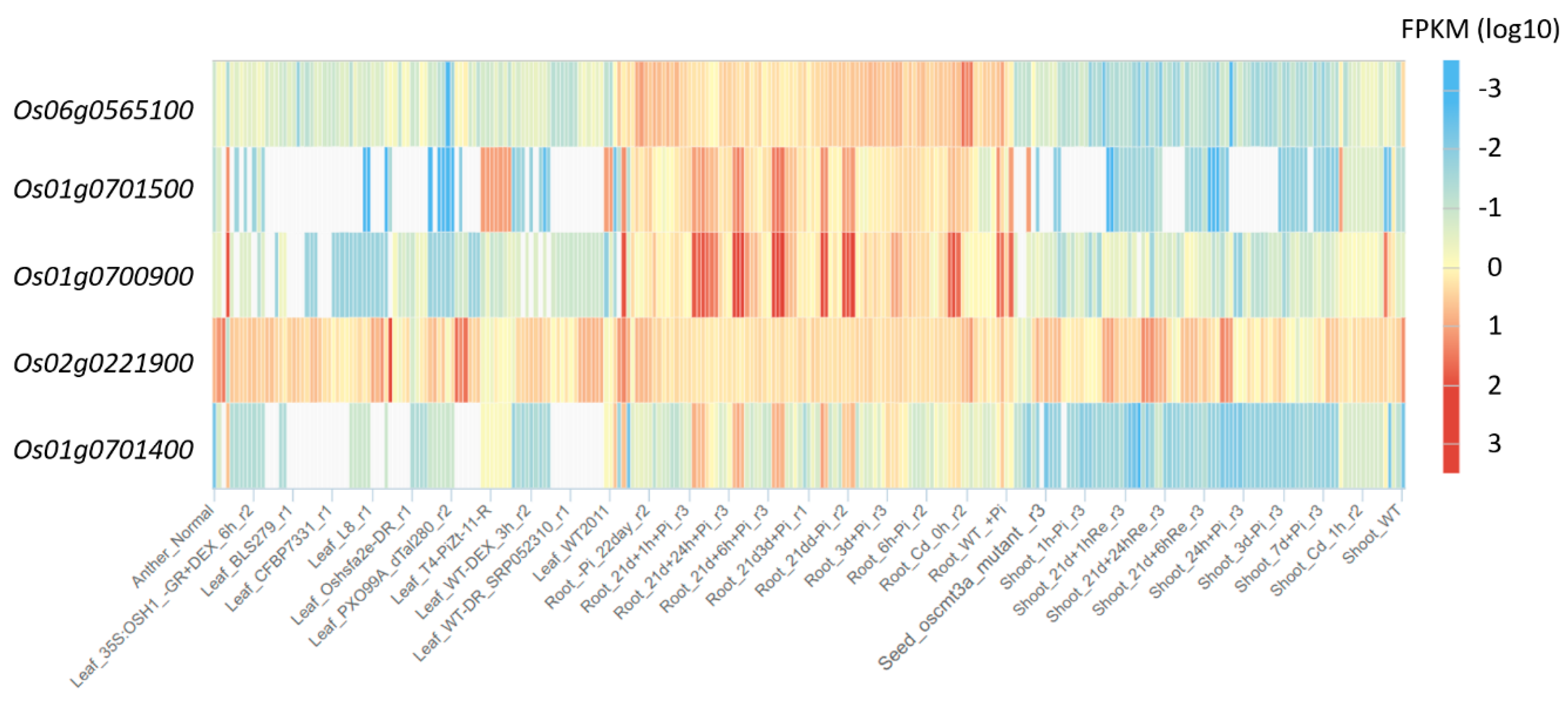 Genes 11 01348 g006
