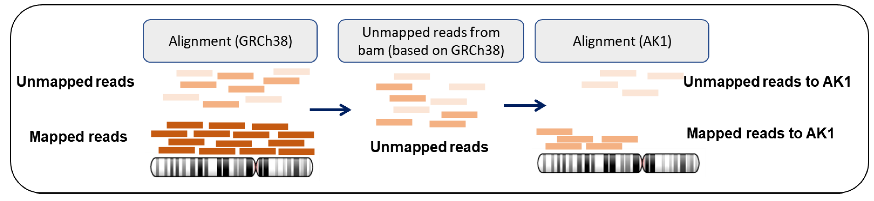 Genes 11 01350 g002 Genes 11 01350 g002