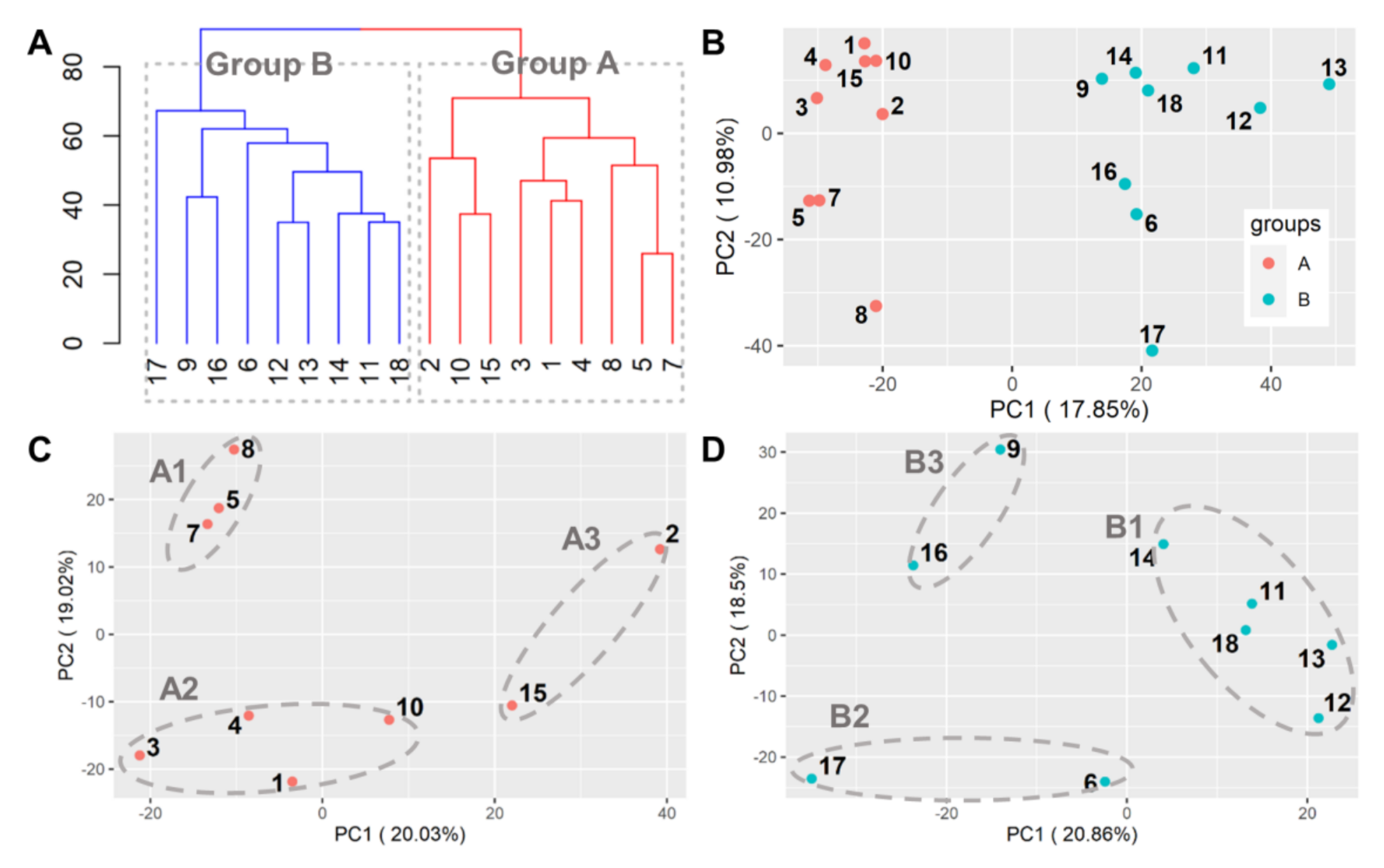 Genes 11 01359 g003