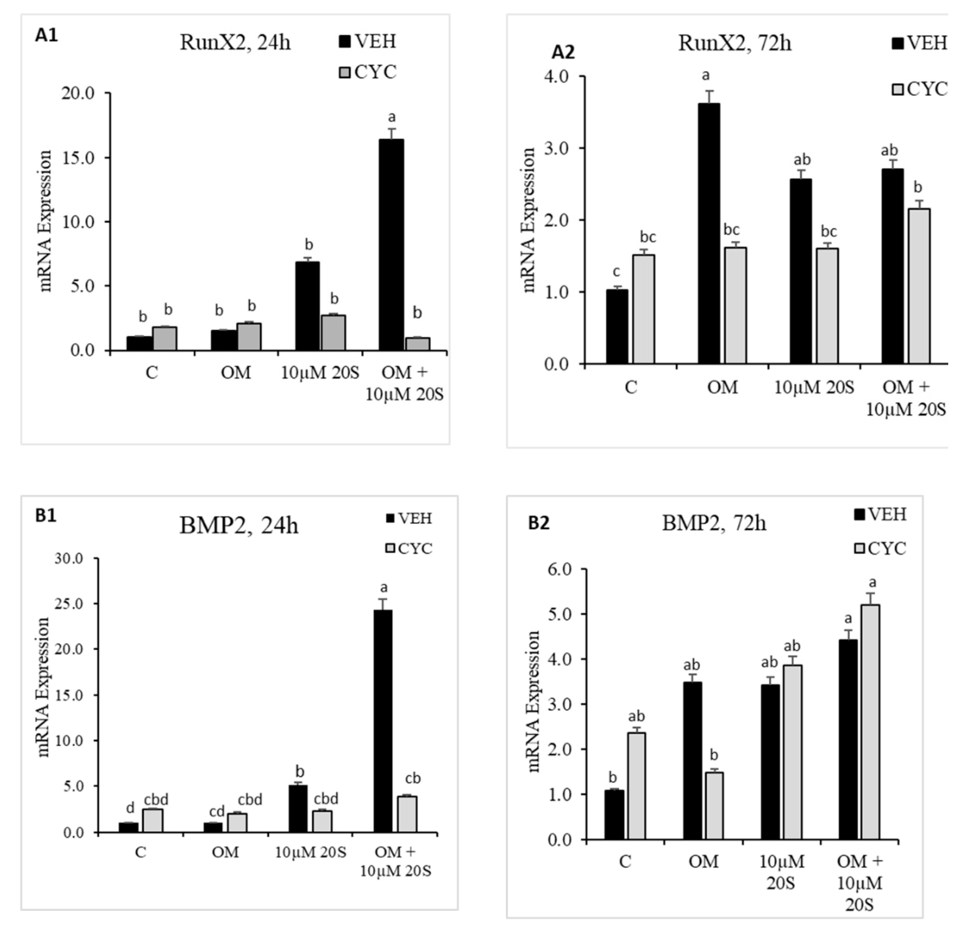 Genes 11 01360 g004a Genes 11 01360 g004a