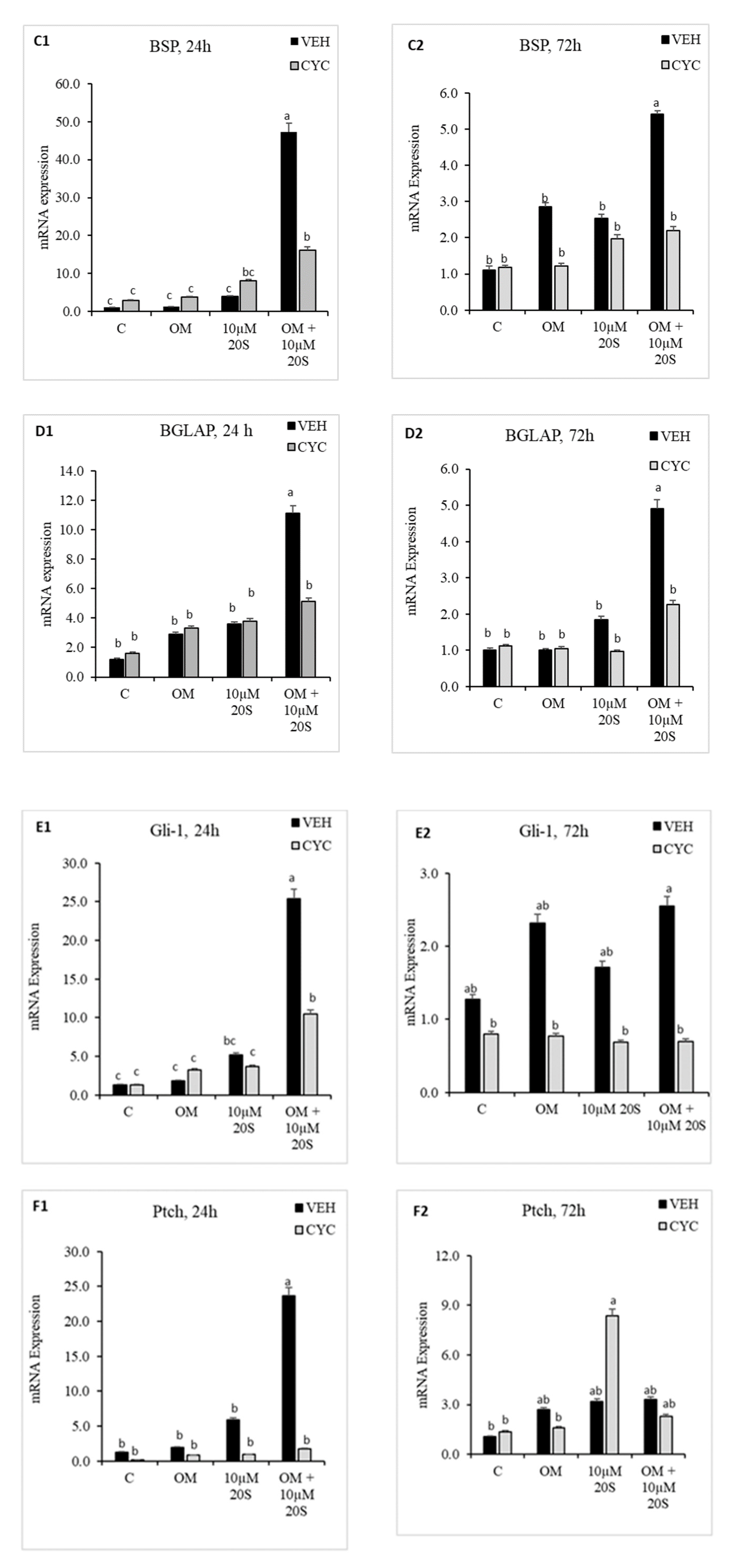 Genes 11 01360 g004b Genes 11 01360 g004b