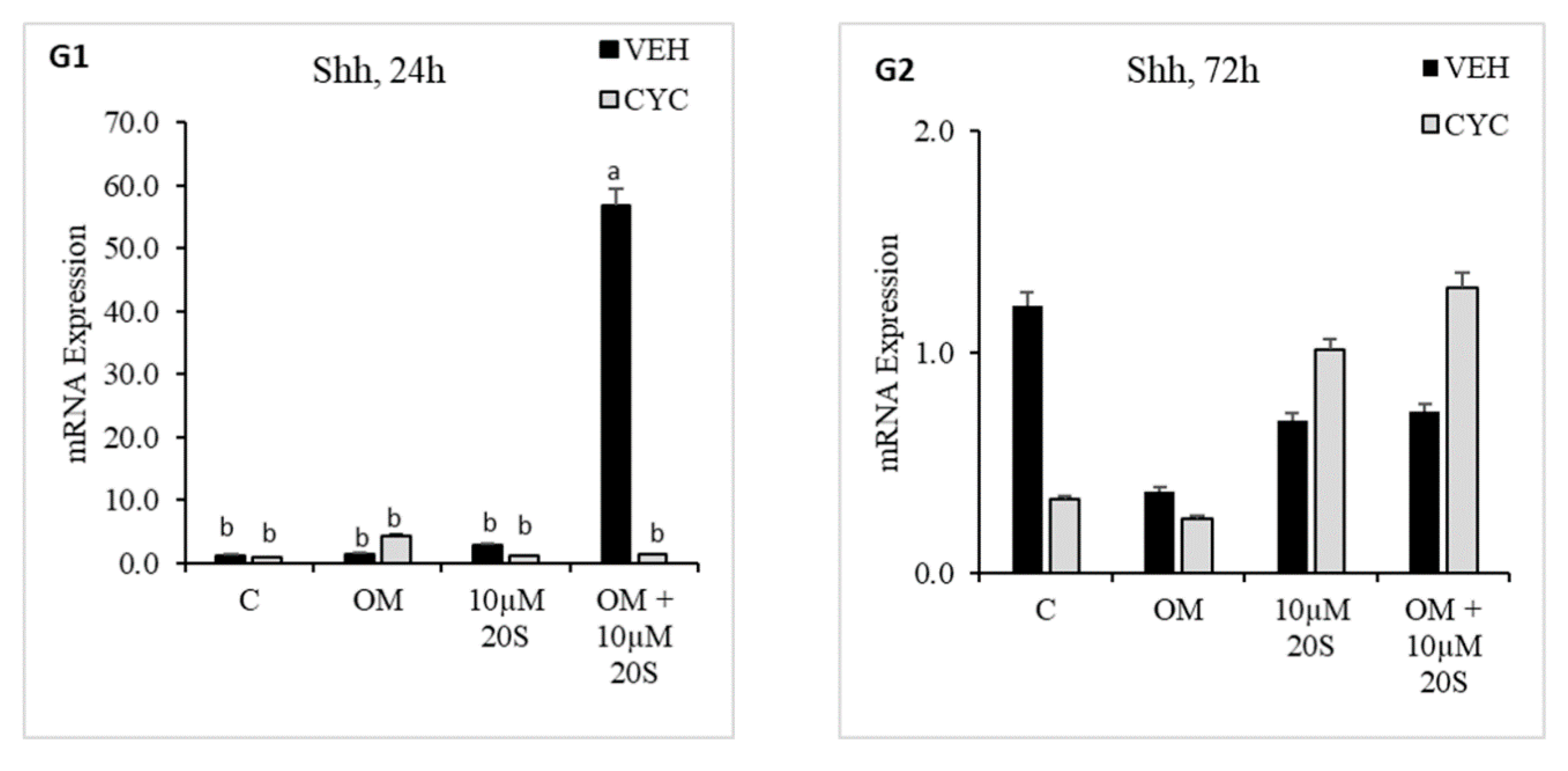 Genes 11 01360 g004c Genes 11 01360 g004c