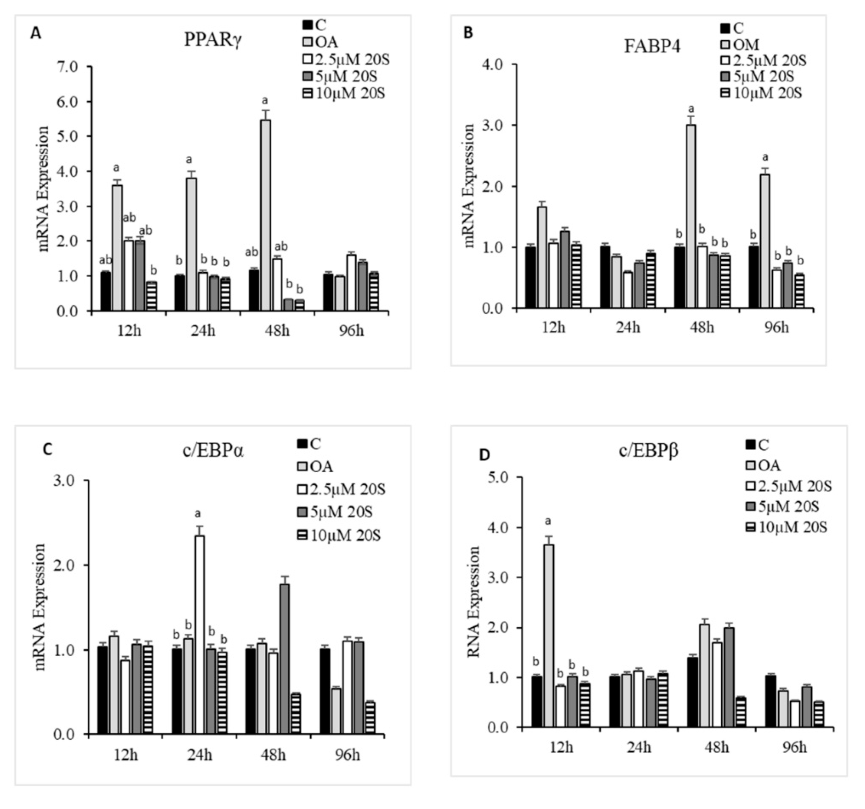 Genes 11 01360 g006a Genes 11 01360 g006a