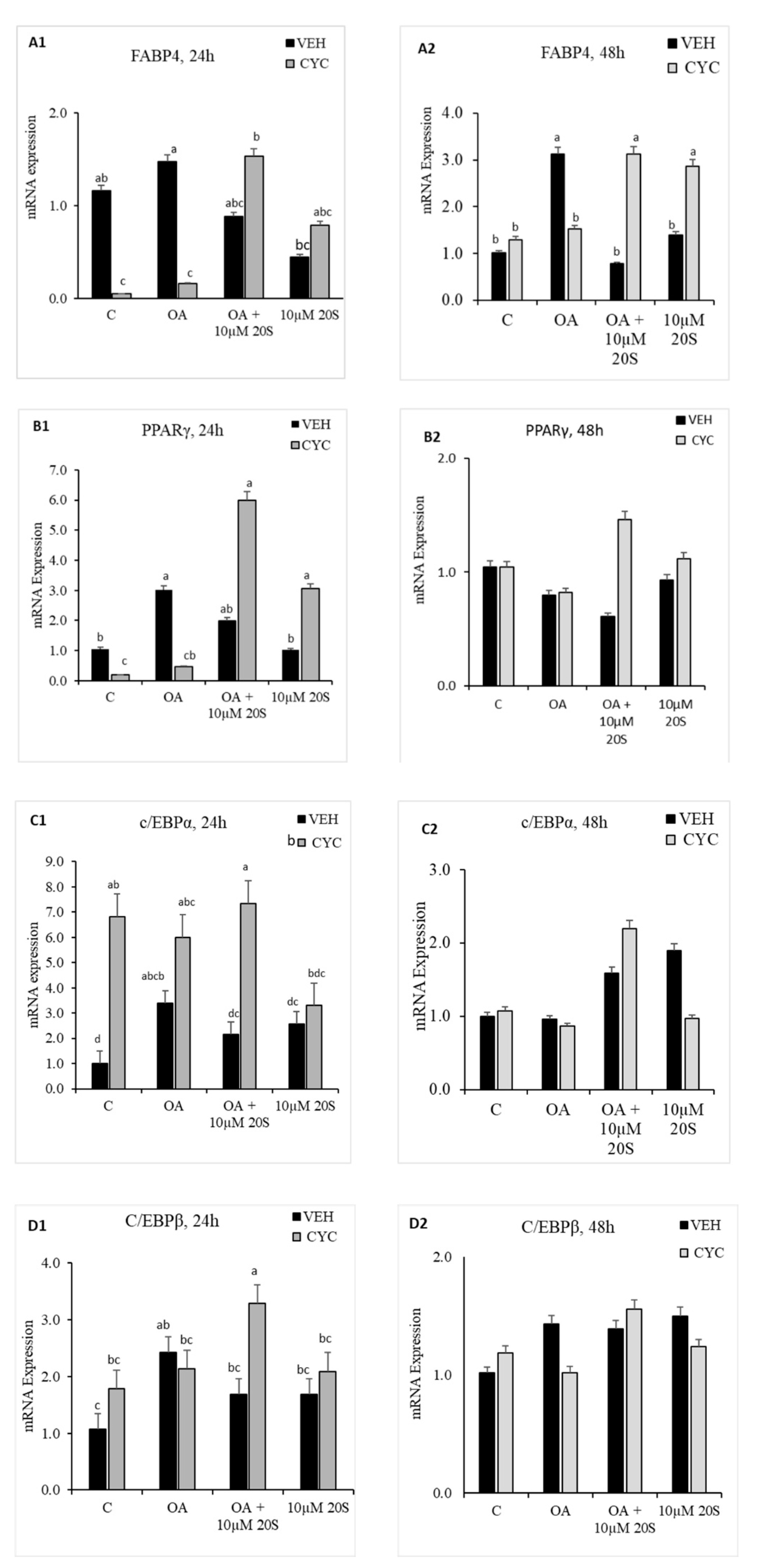 Genes 11 01360 g007a Genes 11 01360 g007a