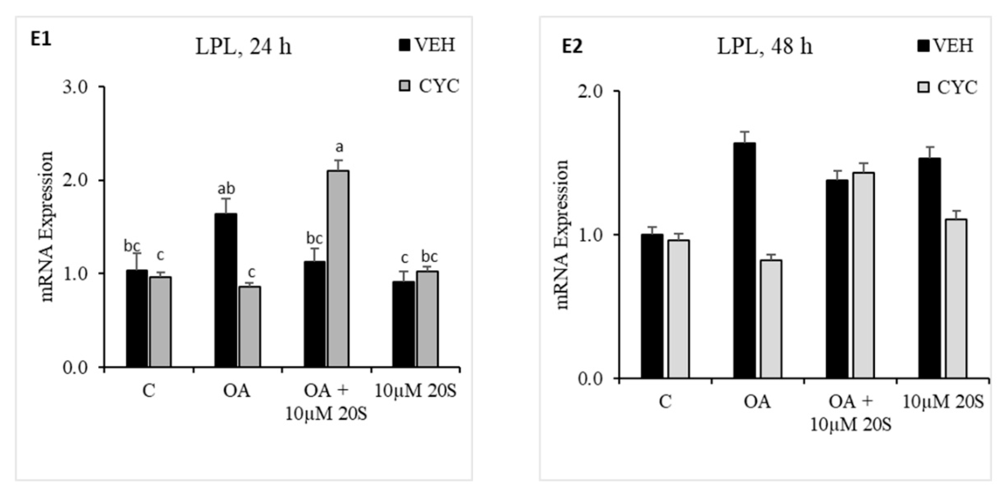 Genes 11 01360 g007b Genes 11 01360 g007b