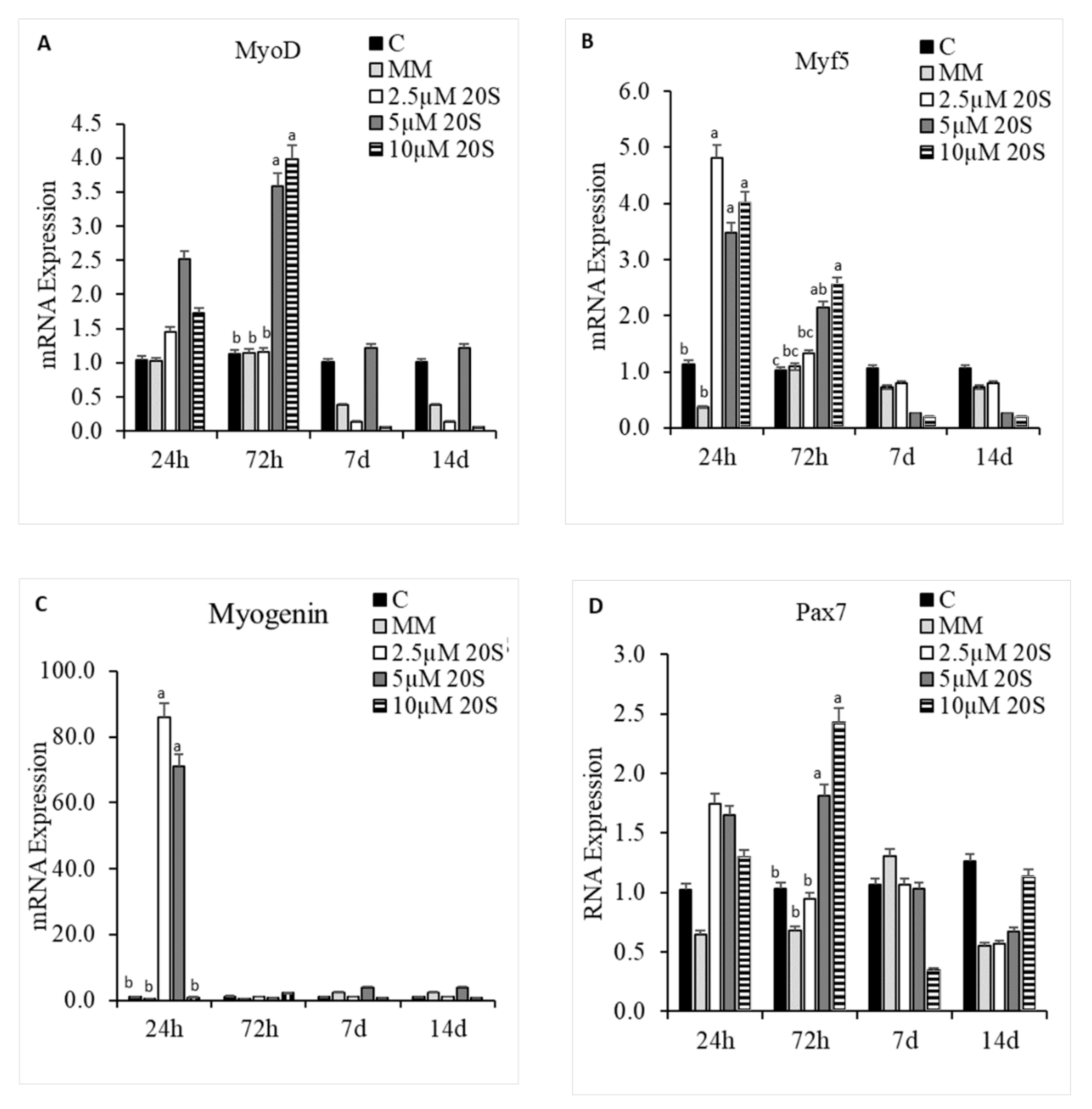 Genes 11 01360 g008 Genes 11 01360 g008