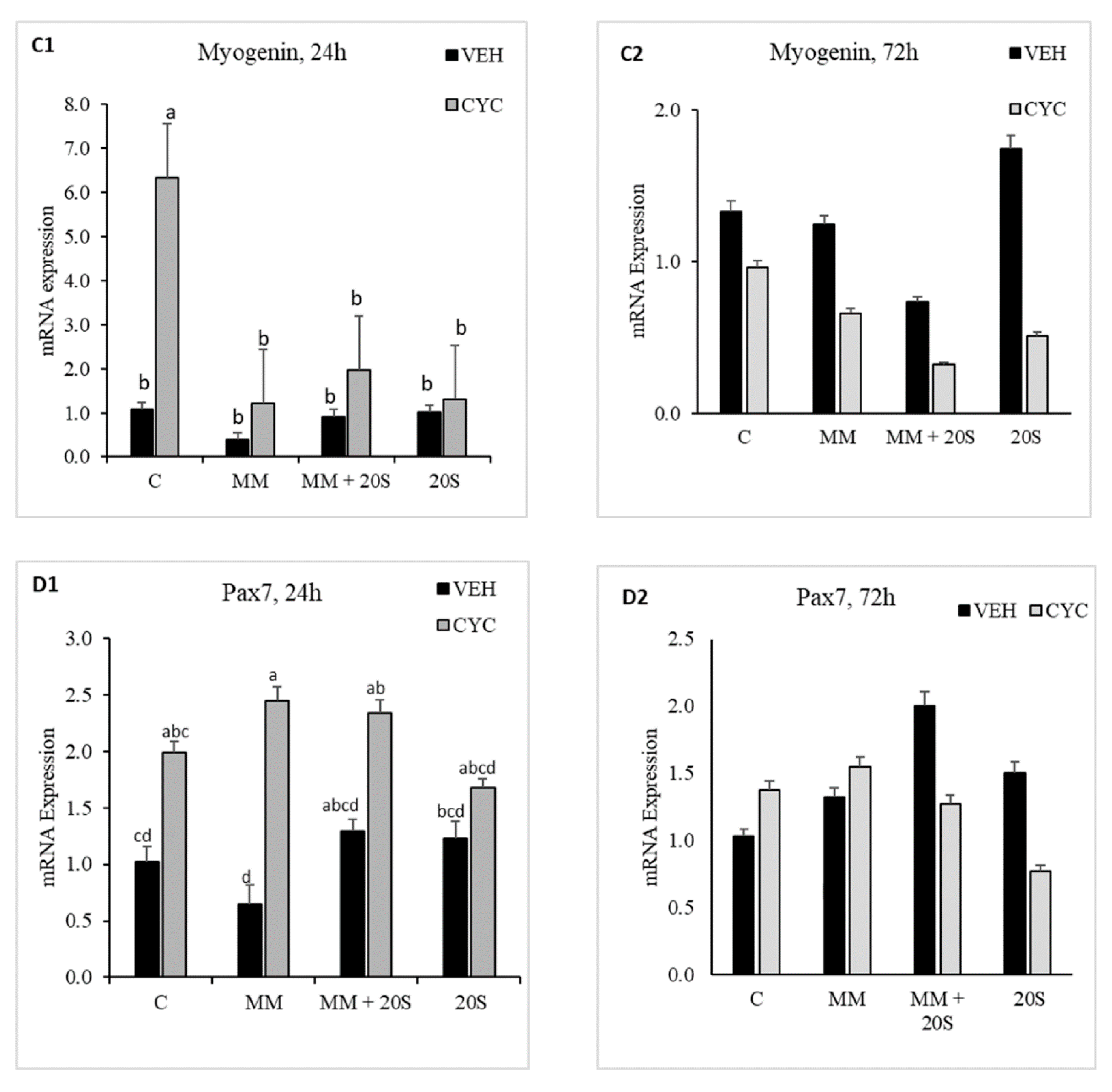 Genes 11 01360 g009b Genes 11 01360 g009b