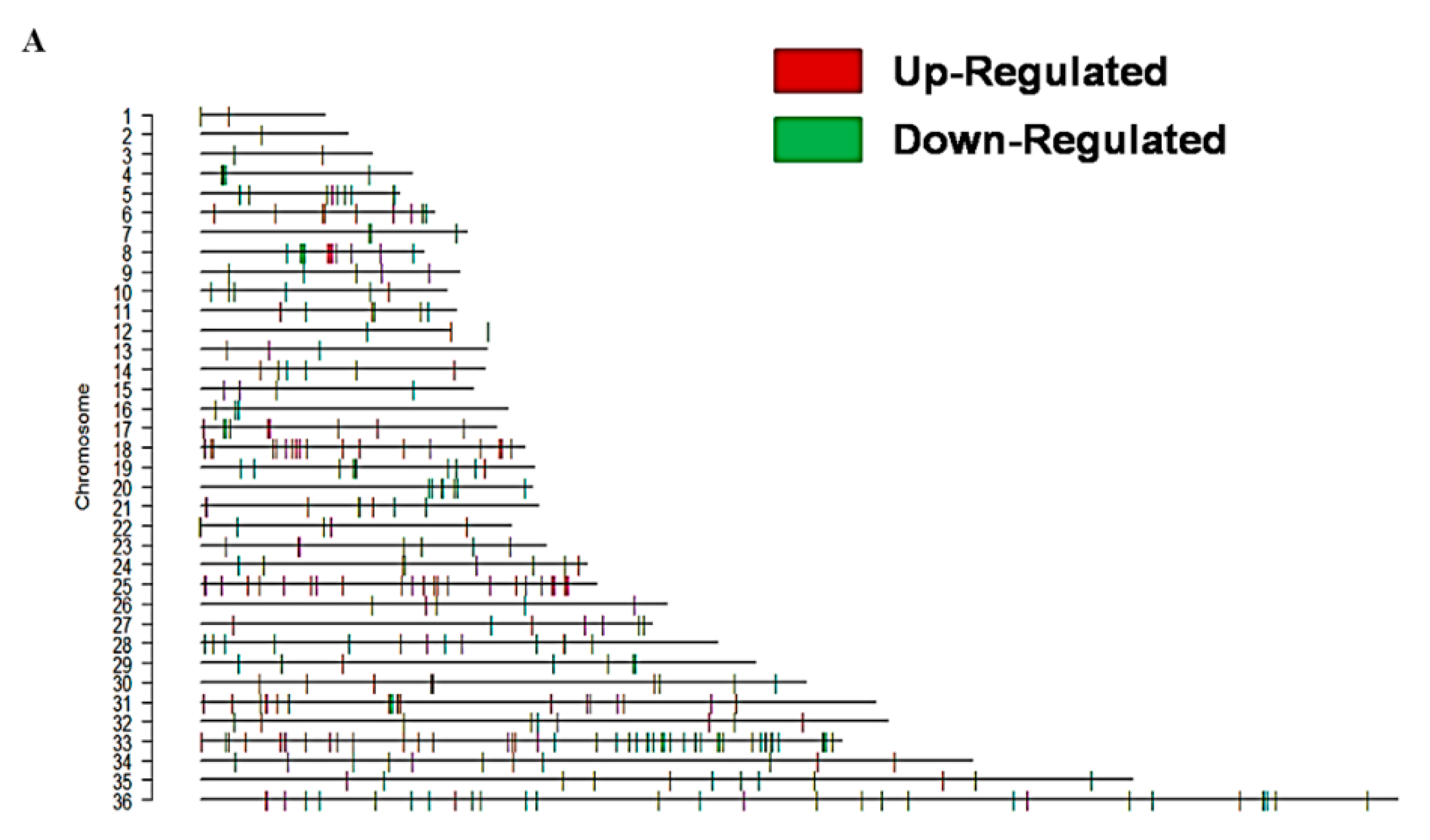 Genes 11 01362 g005a Genes 11 01362 g005a
