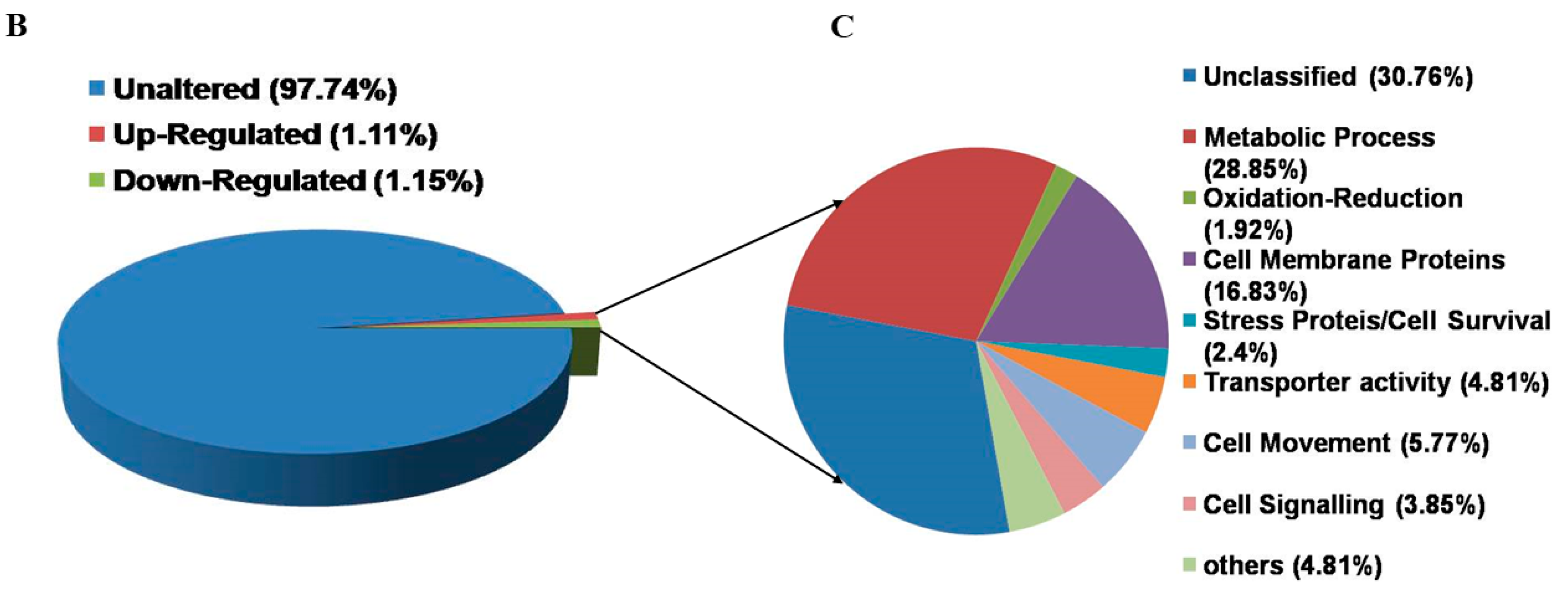 Genes 11 01362 g005b Genes 11 01362 g005b