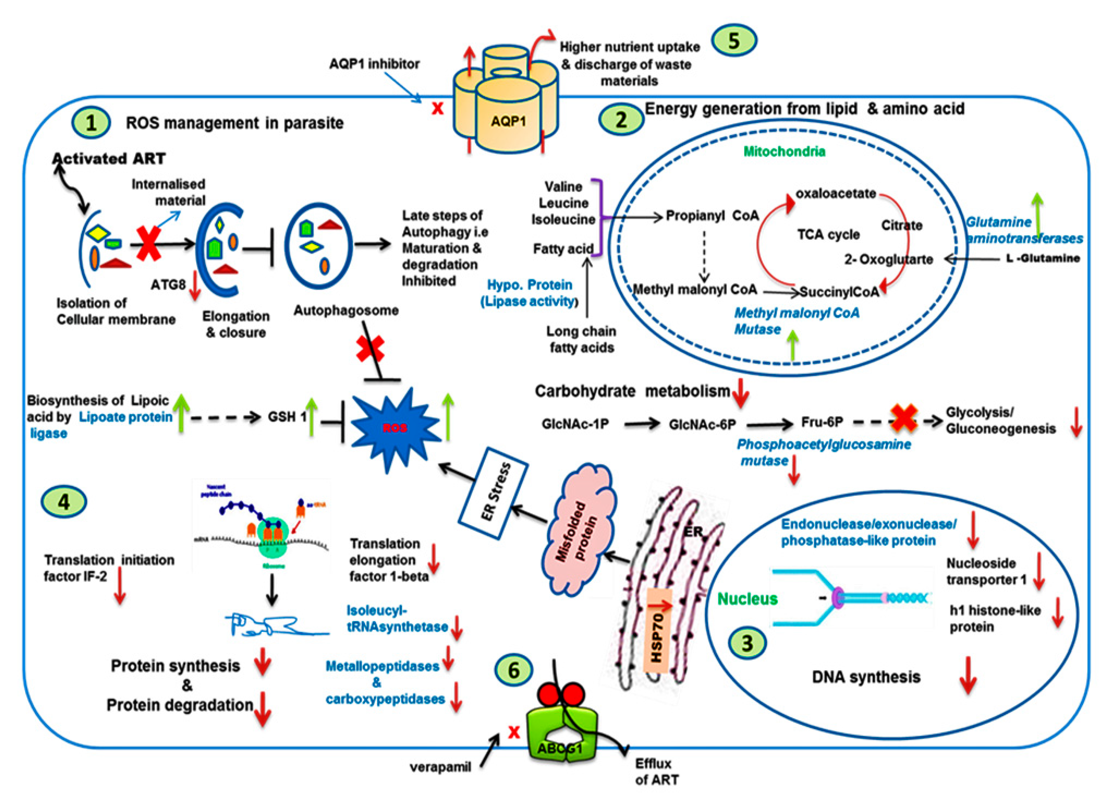 Genes 11 01362 g009 Genes 11 01362 g009