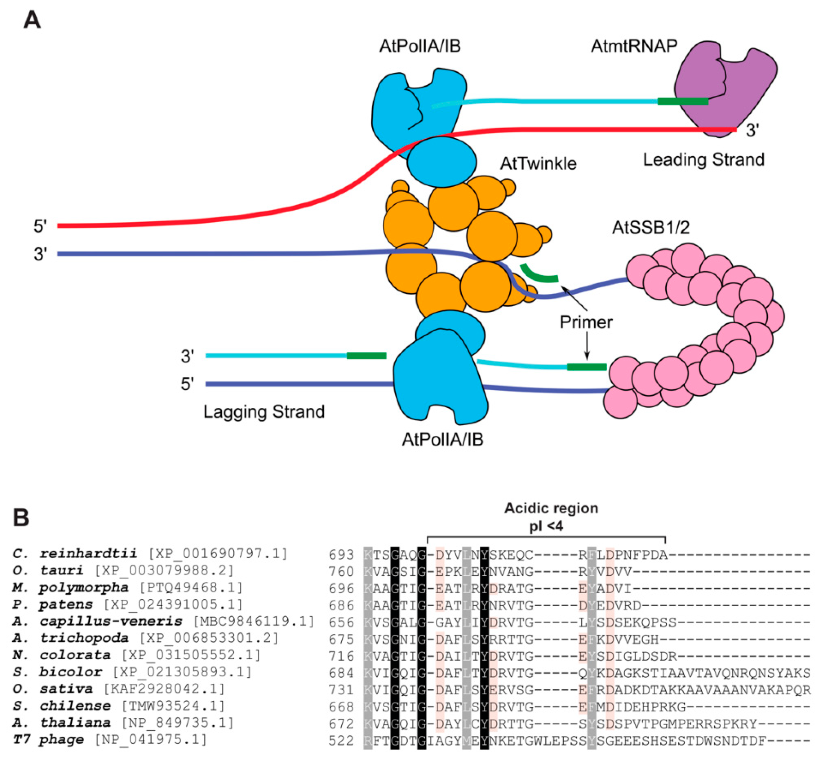 Genes 11 01370 g002