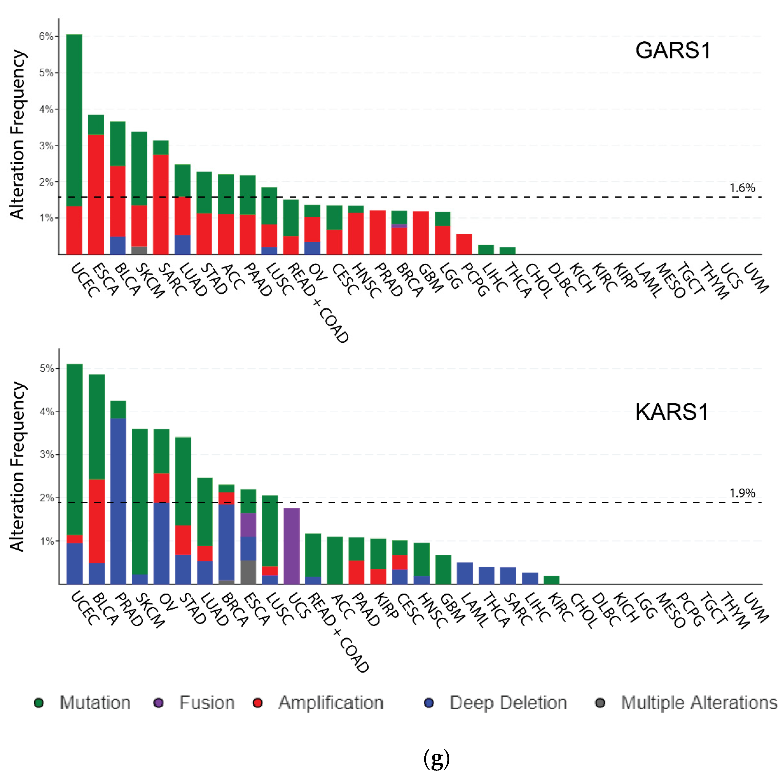 Genes 11 01384 g001d