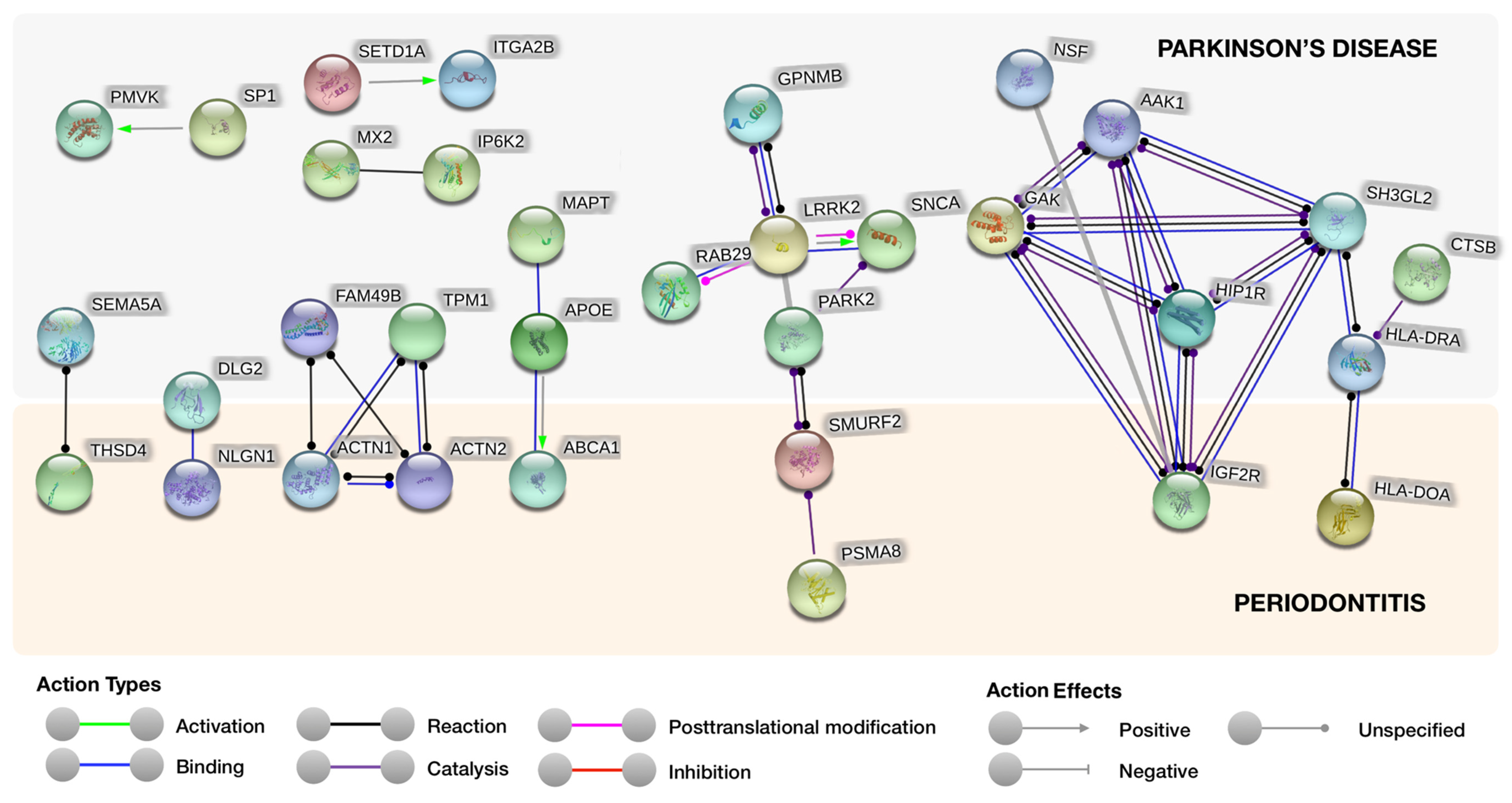 Genes 11 01385 g001