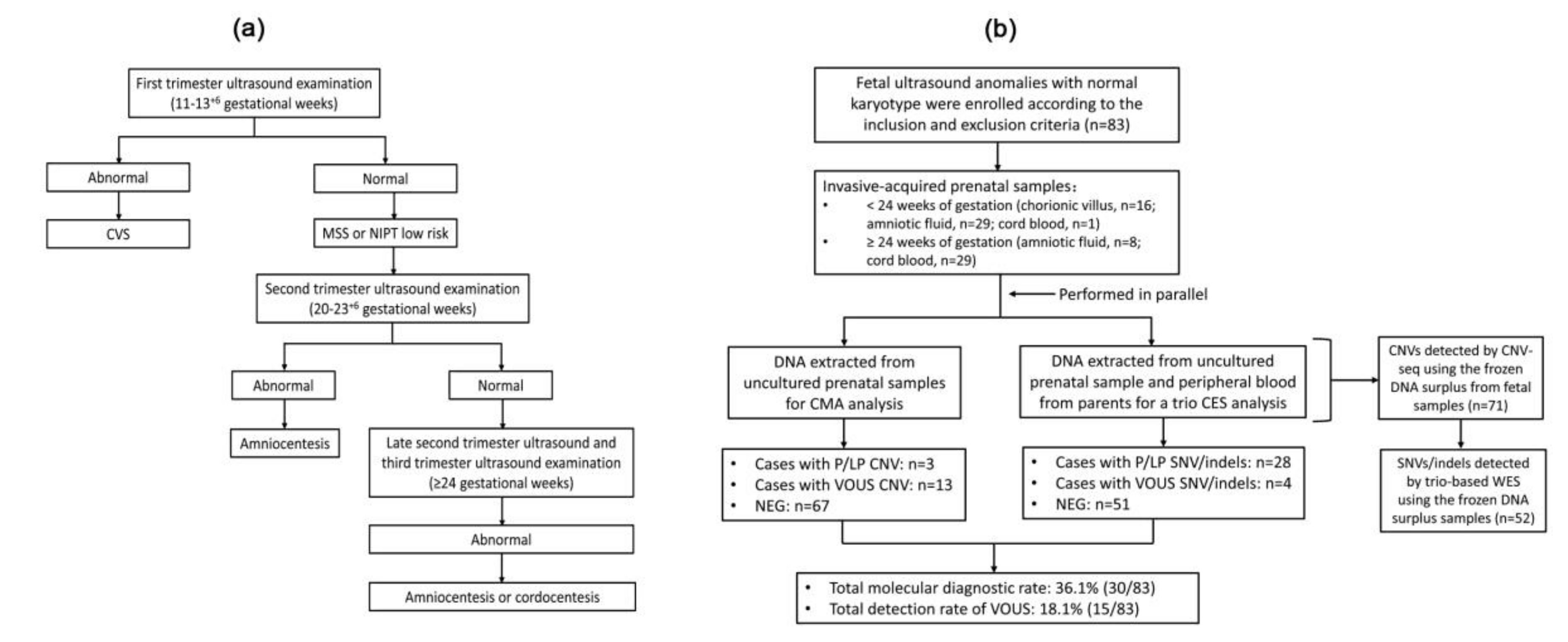 Genes 11 01397 g001 Genes 11 01397 g001