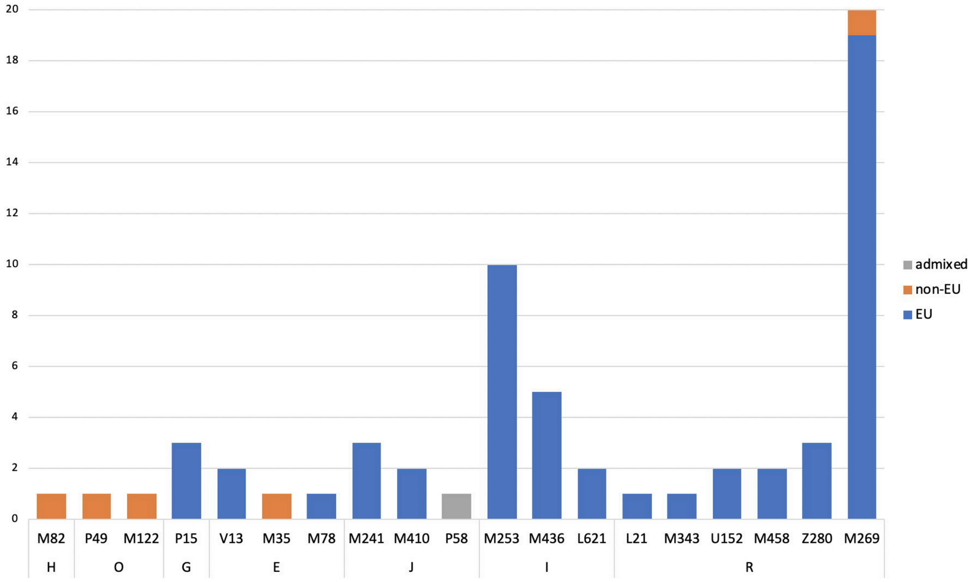 Genes 11 01398 g003