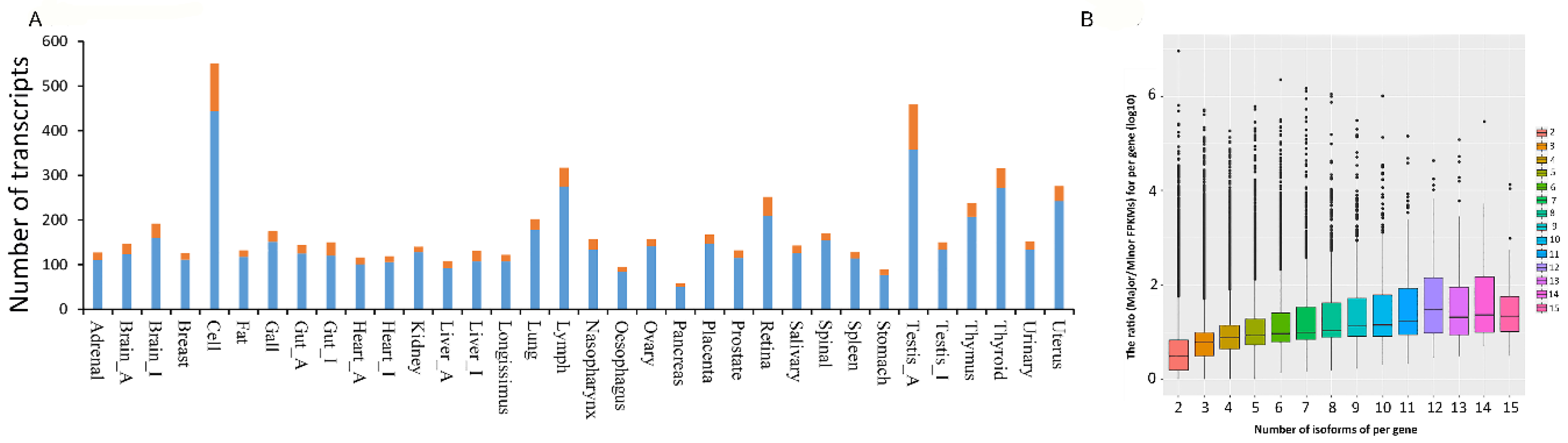 Genes 11 01405 g003 Genes 11 01405 g003