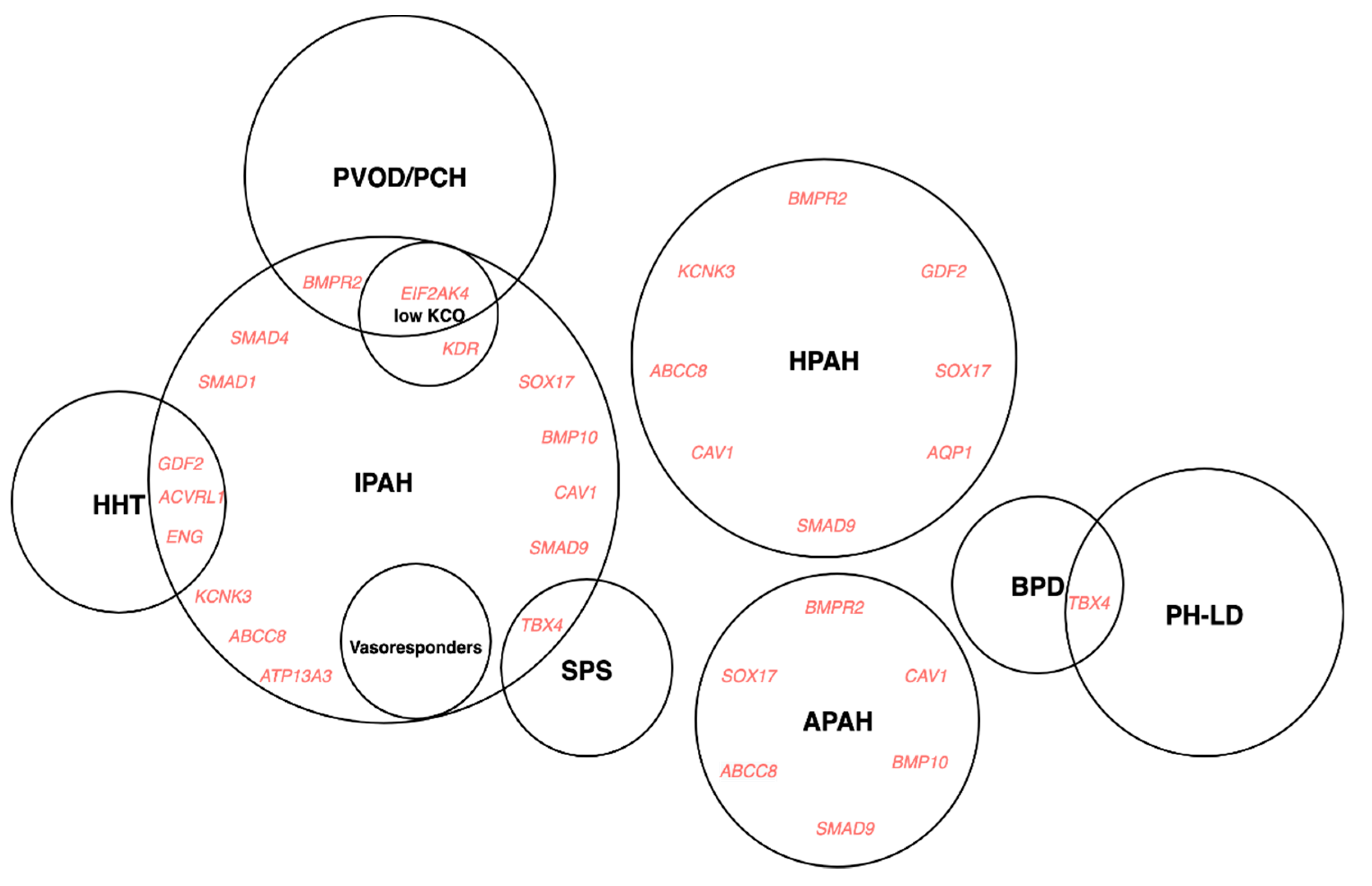 Genes Free Full-Text There and Back Again—Forward Genetics and Reverse Phenotyping in Pulmonary Arterial Hypertension