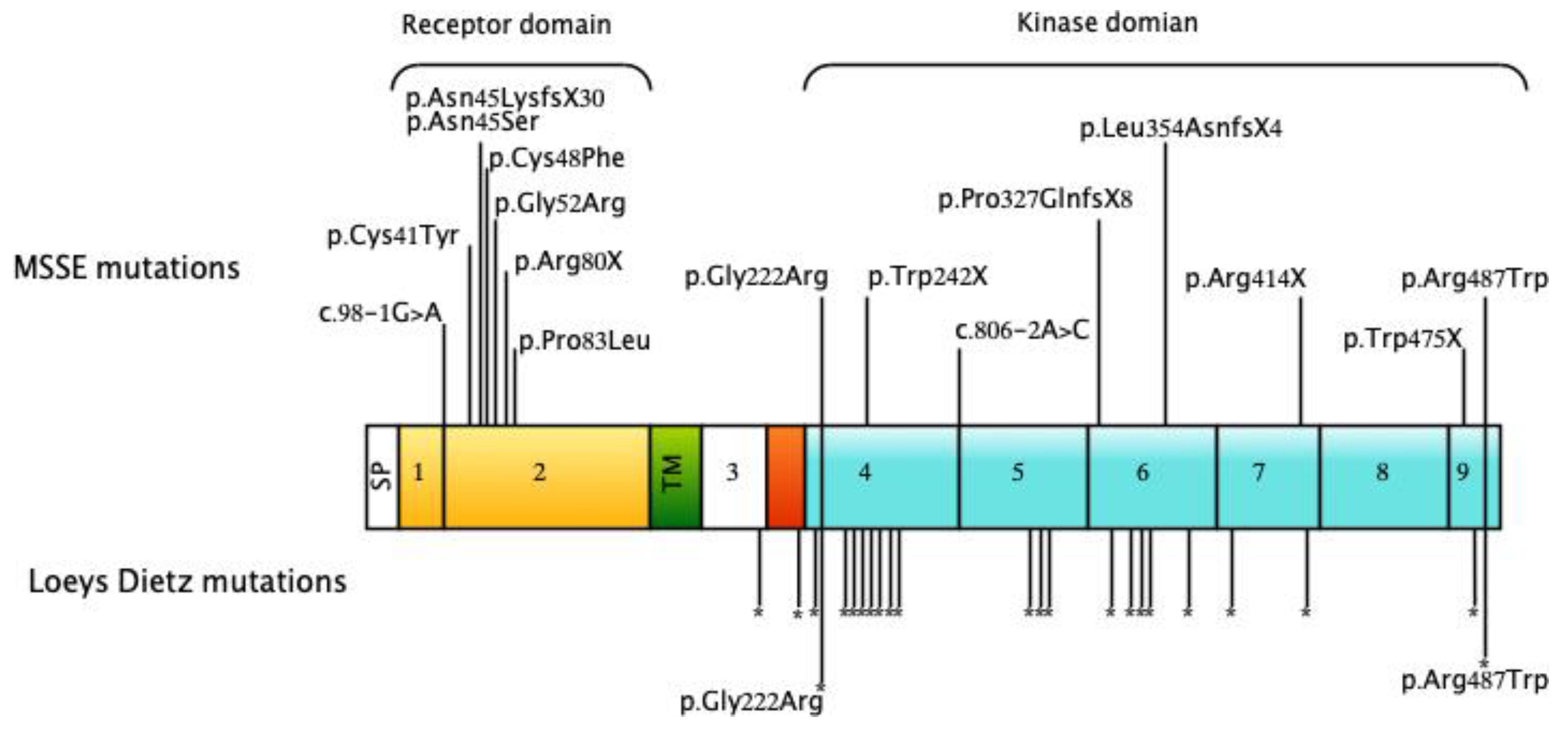 Genes 11 01410 g004