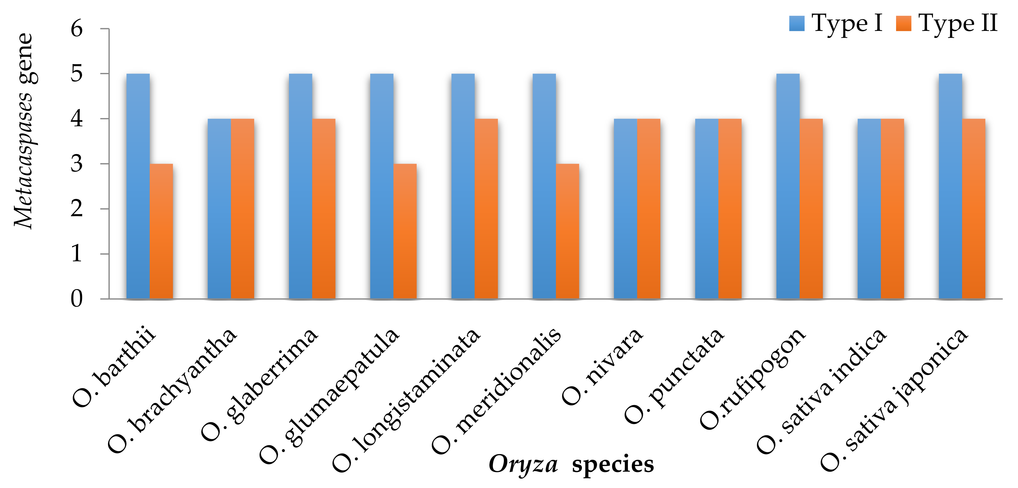 Genes 11 01412 g001 Genes 11 01412 g001