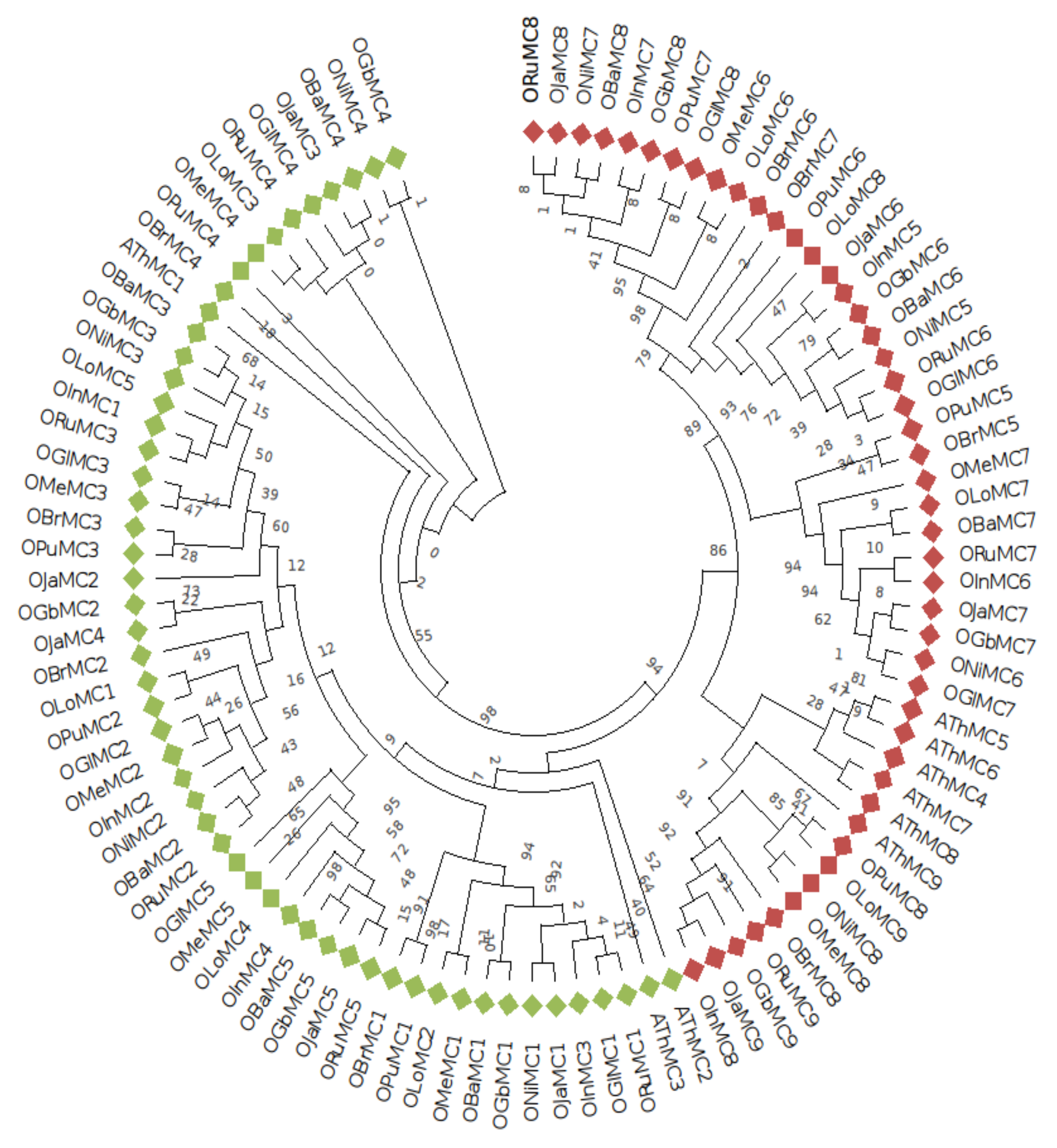 Genes 11 01412 g002 Genes 11 01412 g002