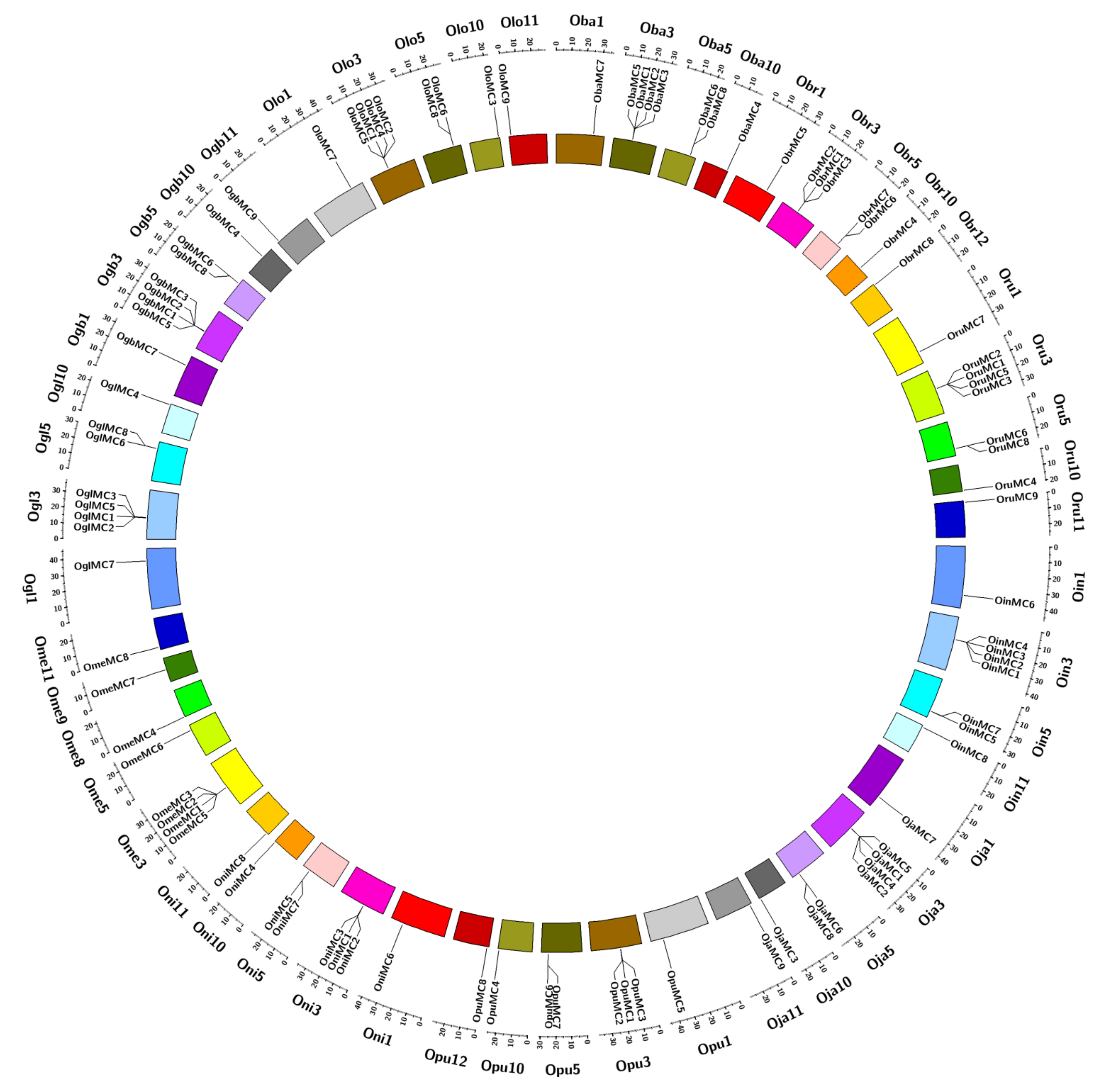Genes 11 01412 g005 Genes 11 01412 g005