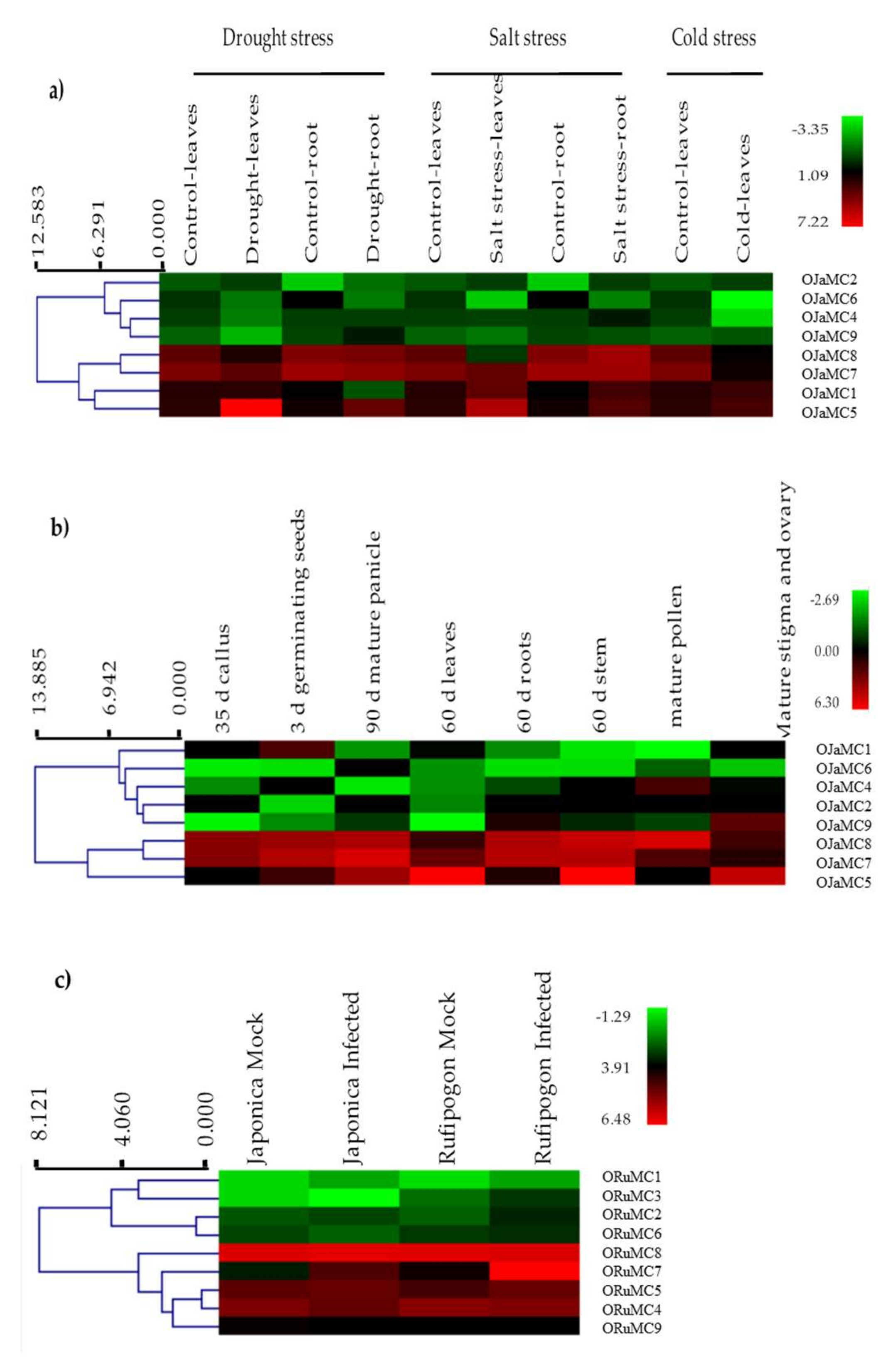 Genes 11 01412 g007 Genes 11 01412 g007