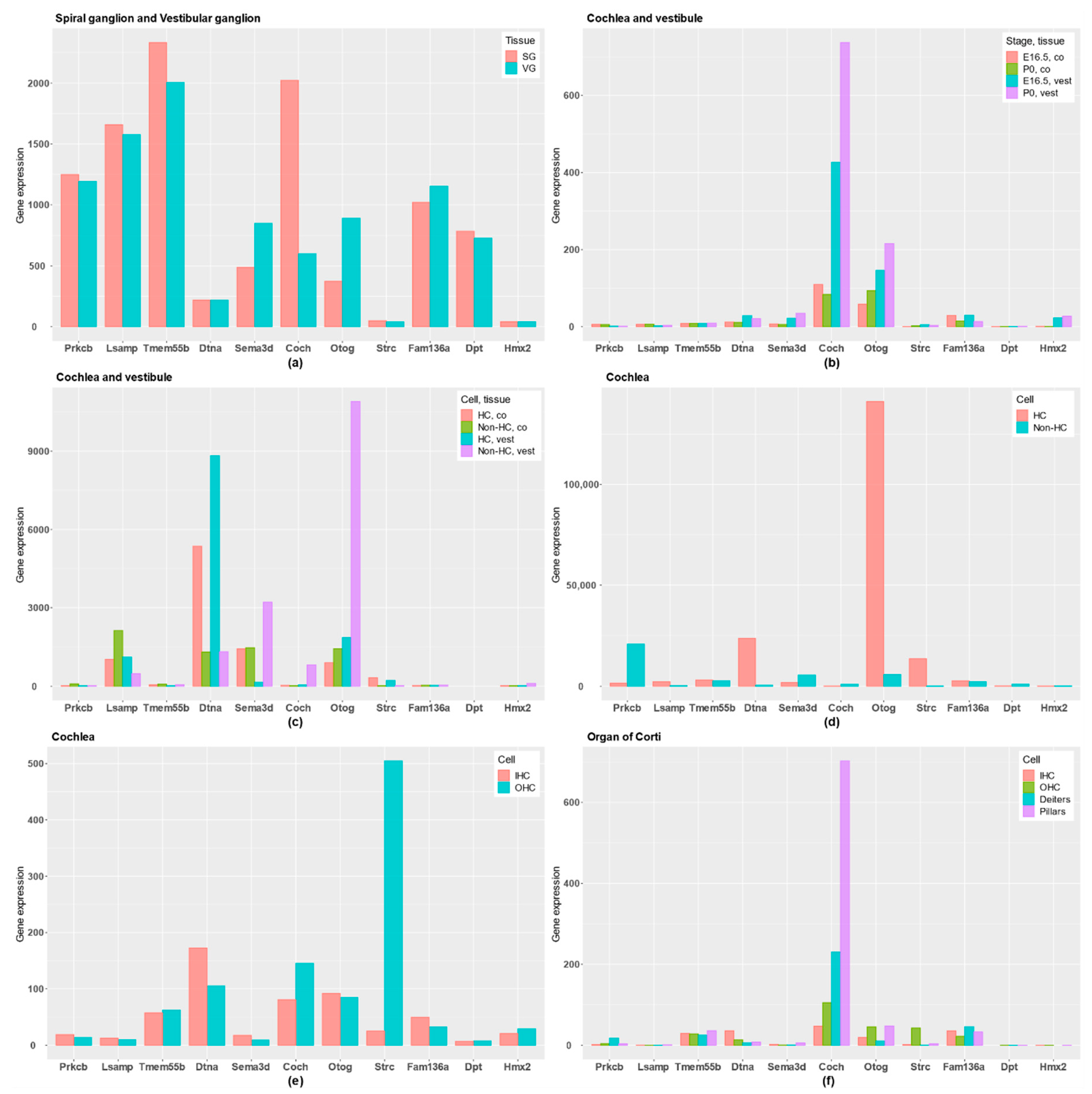Genes 11 01414 g003