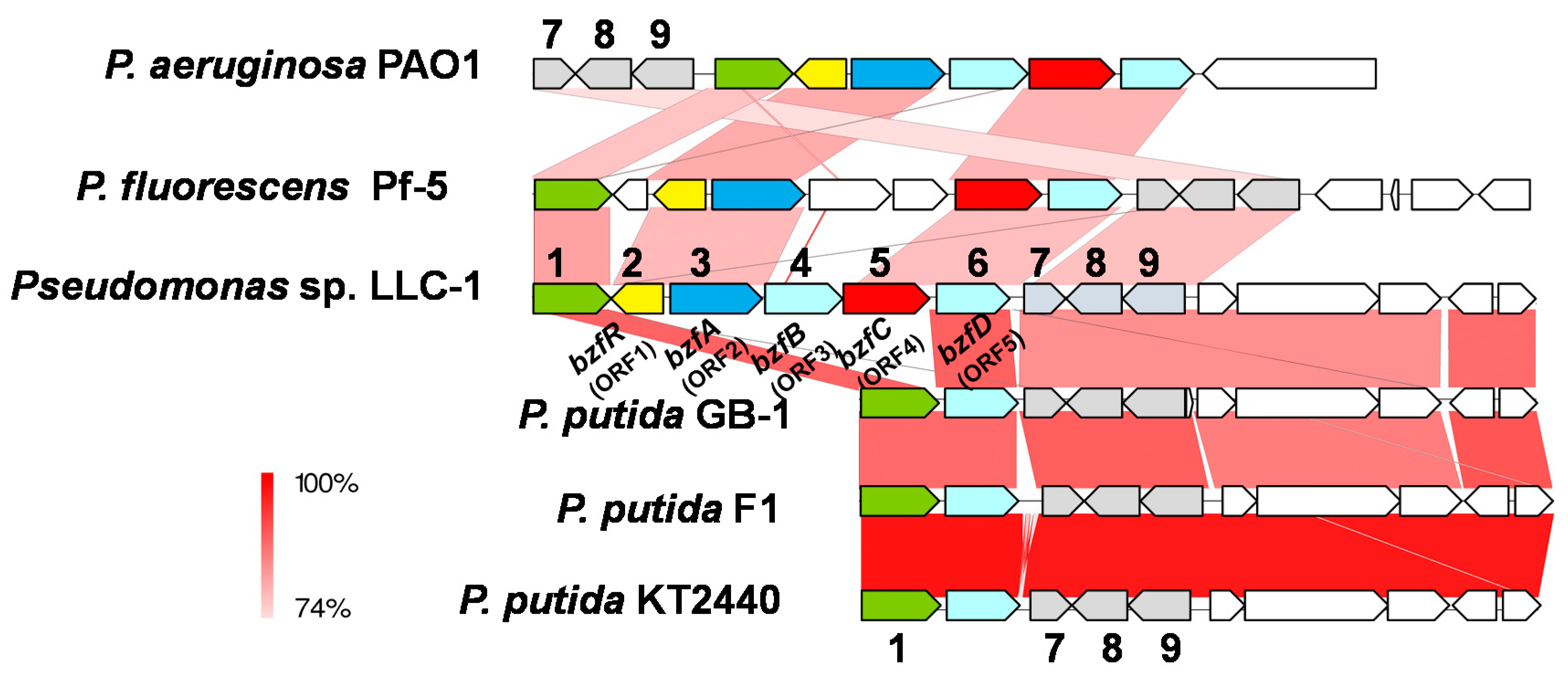 Genes 11 01416 g002