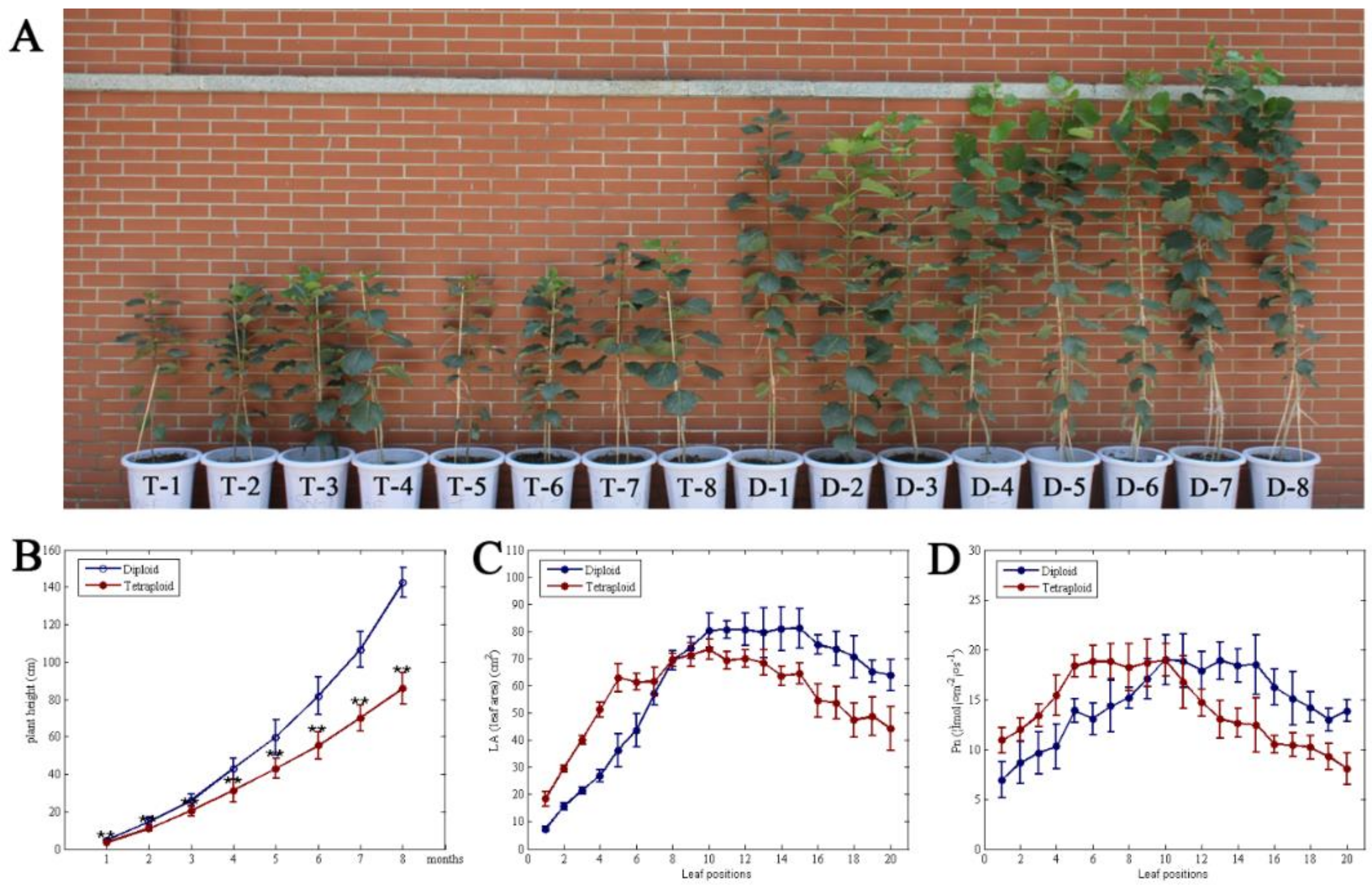 Genes 11 01417 g001 Genes 11 01417 g001