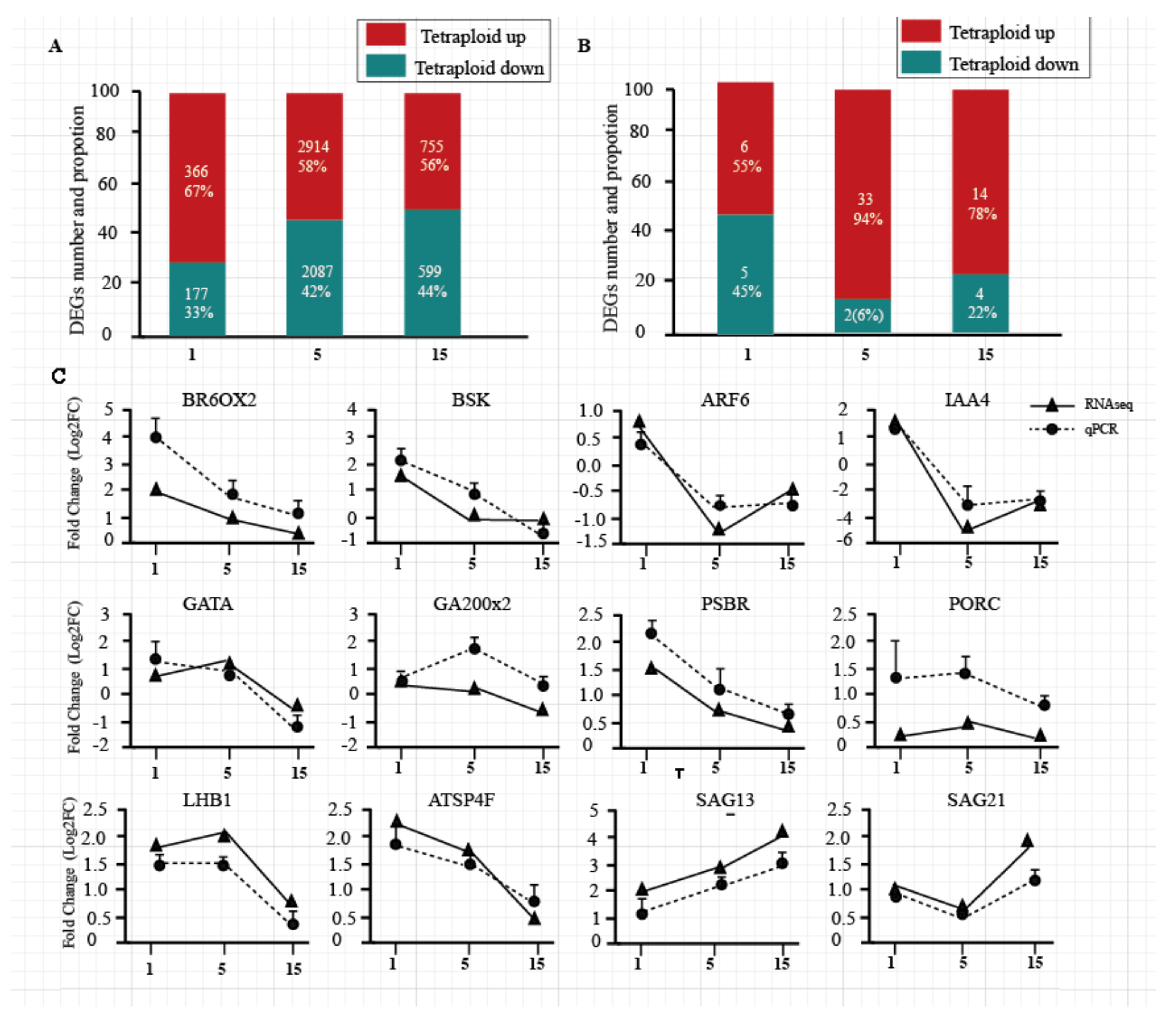 Genes 11 01417 g002 Genes 11 01417 g002