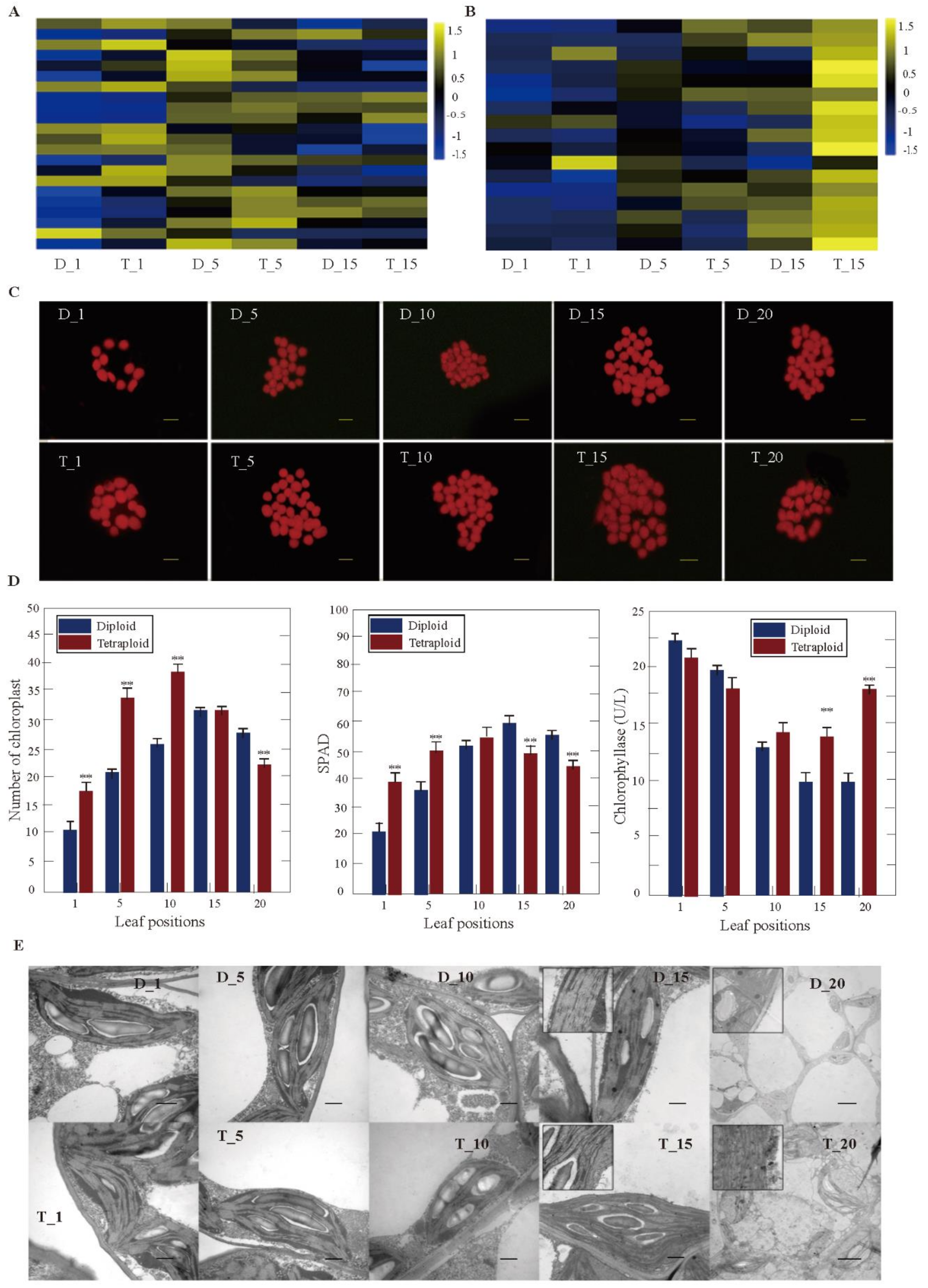 Genes 11 01417 g004 Genes 11 01417 g004