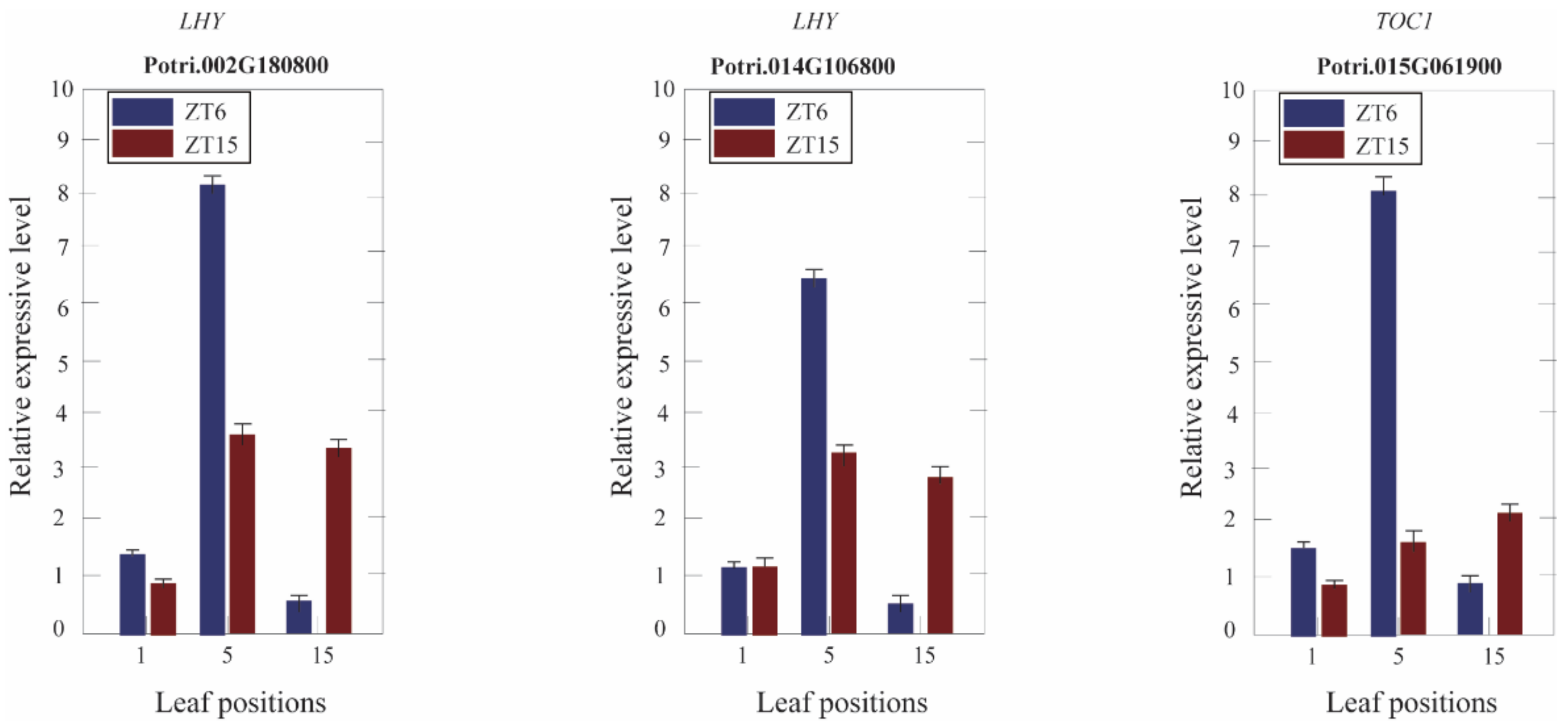 Genes 11 01417 g006 Genes 11 01417 g006
